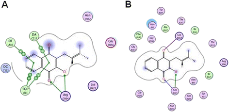 Fig. 7