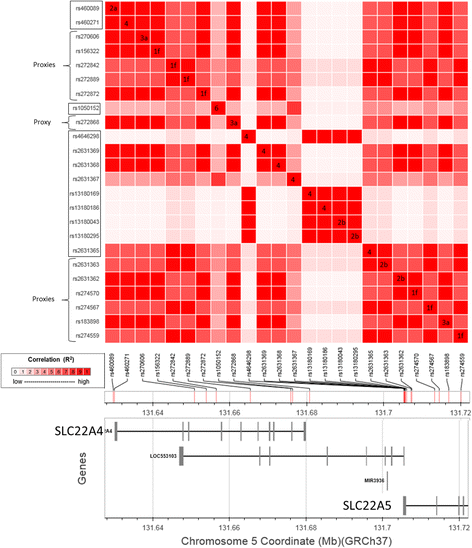 Fig. 2