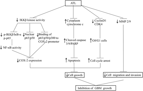 Fig. 10