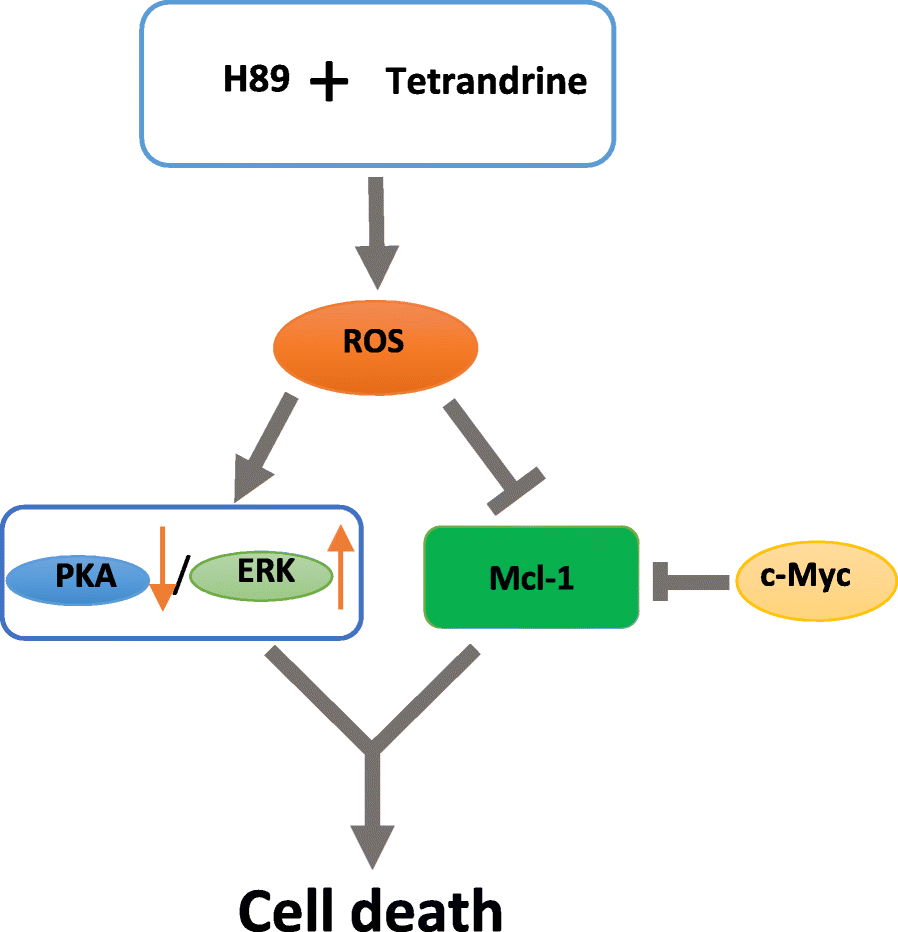 Fig. 8