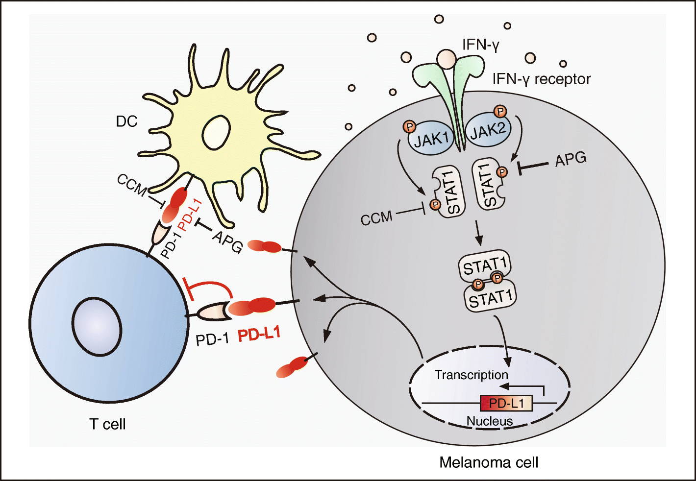 Fig. 8