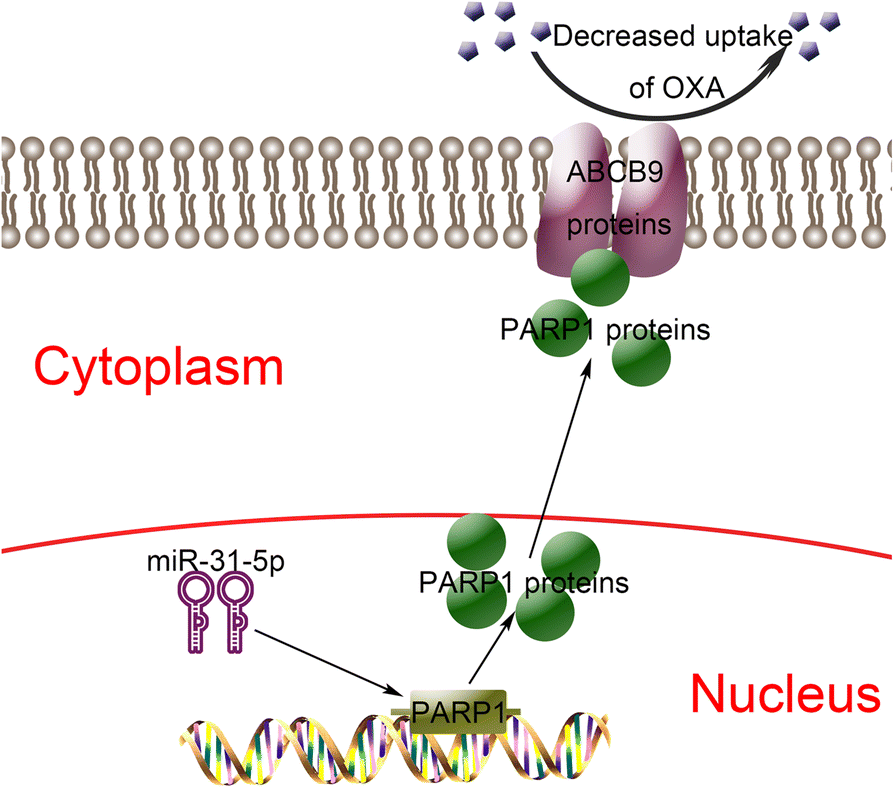 Fig. 9