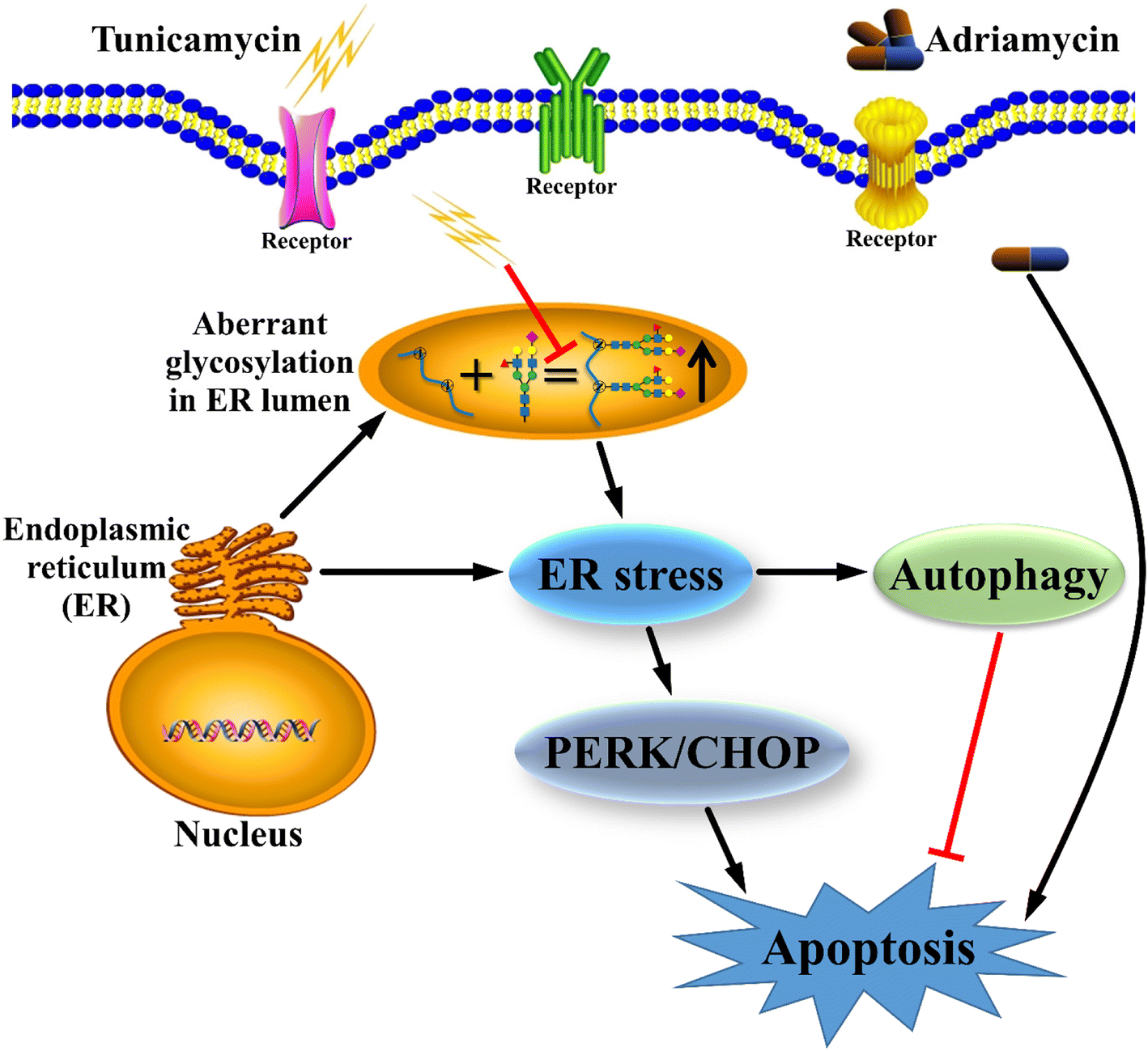 Fig. 6