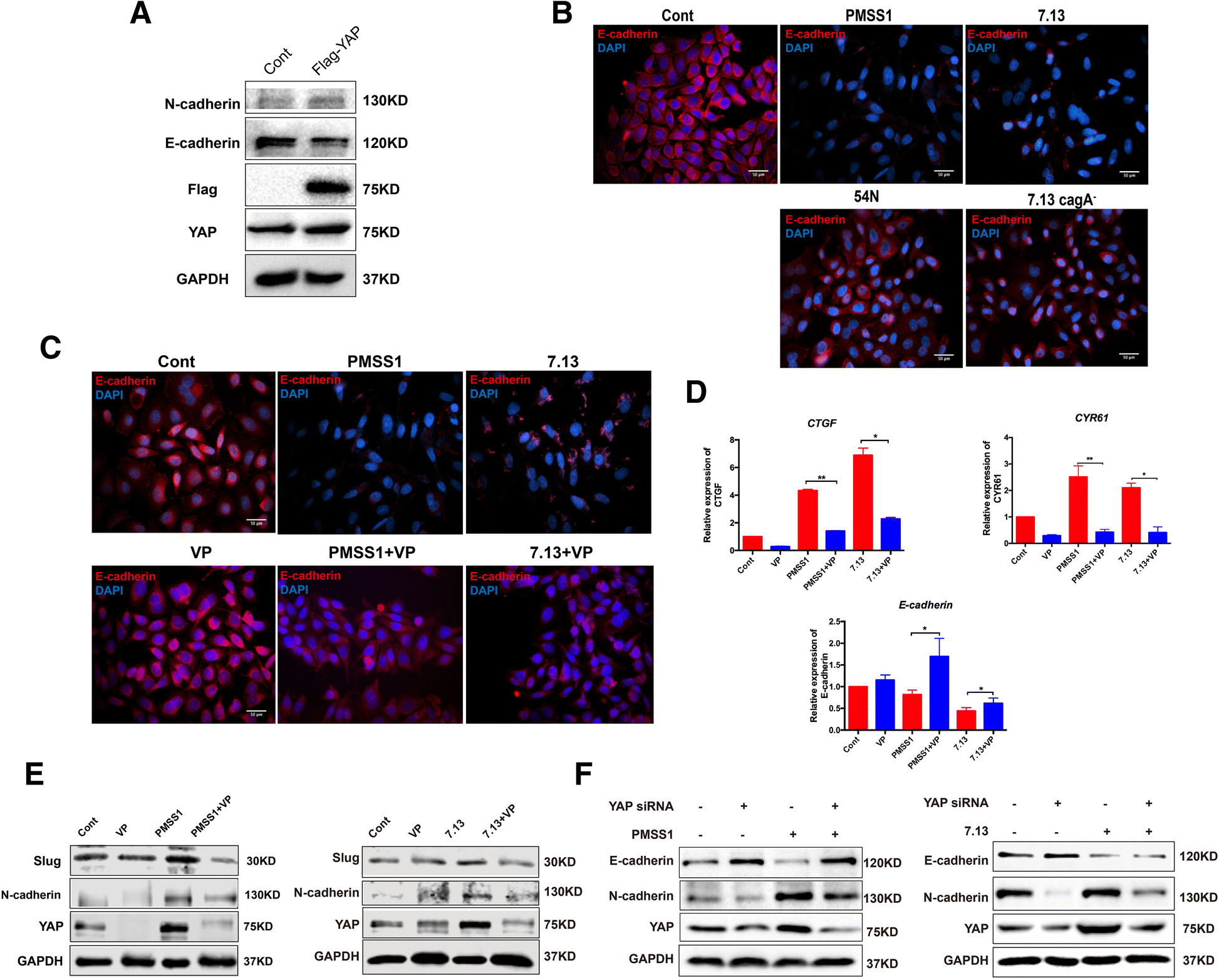 Fig. 6