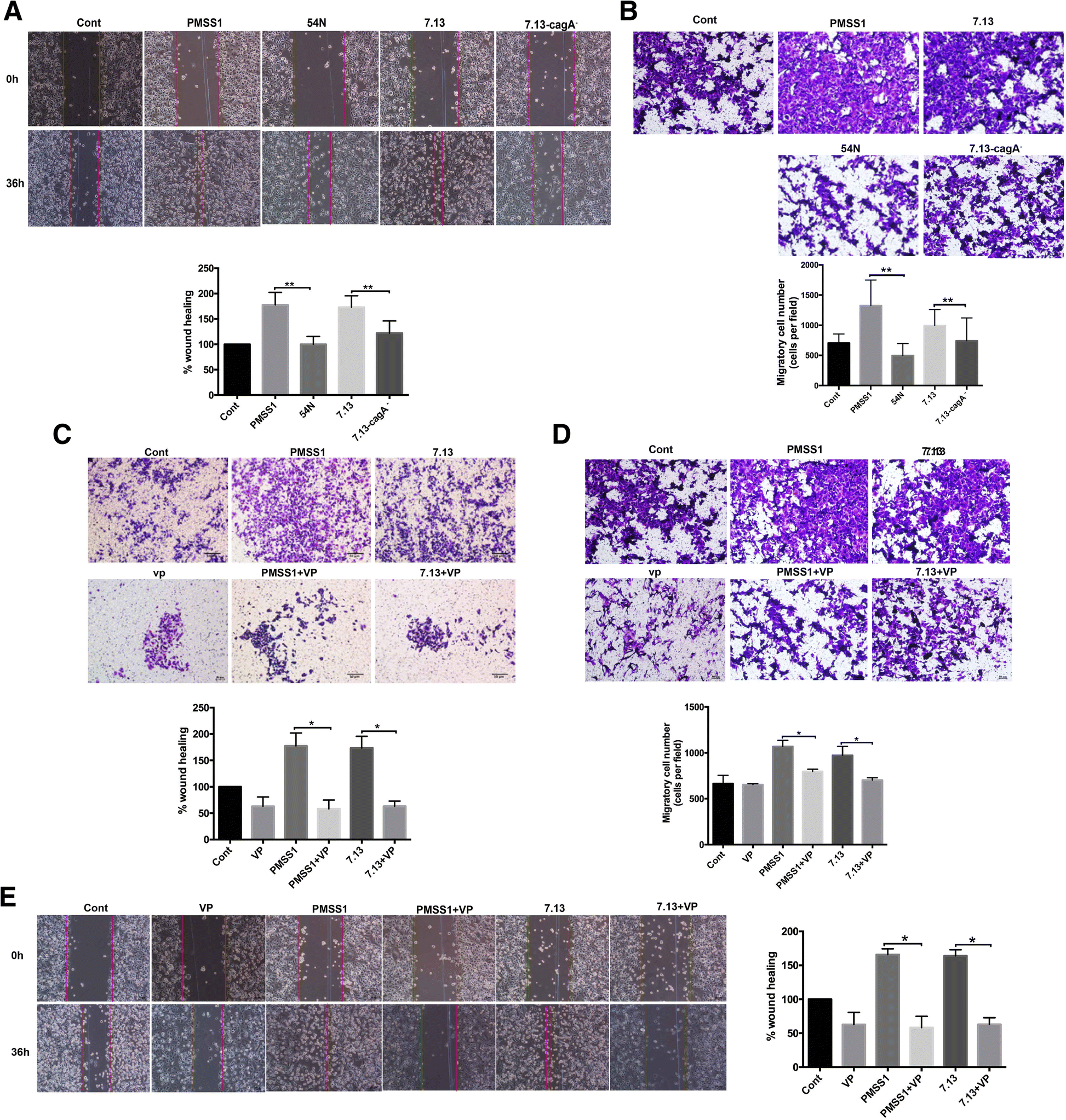 Fig. 7