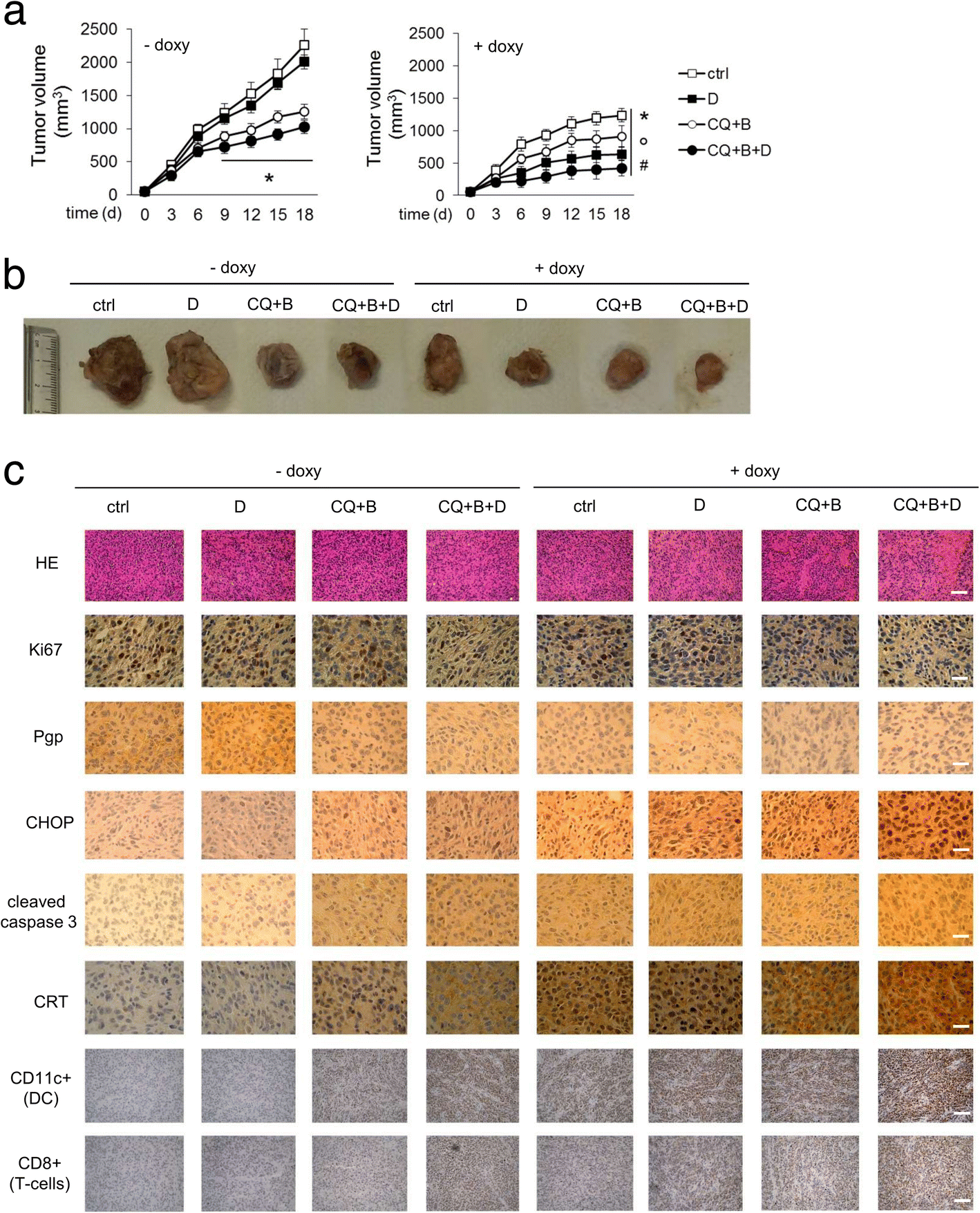 Fig. 8