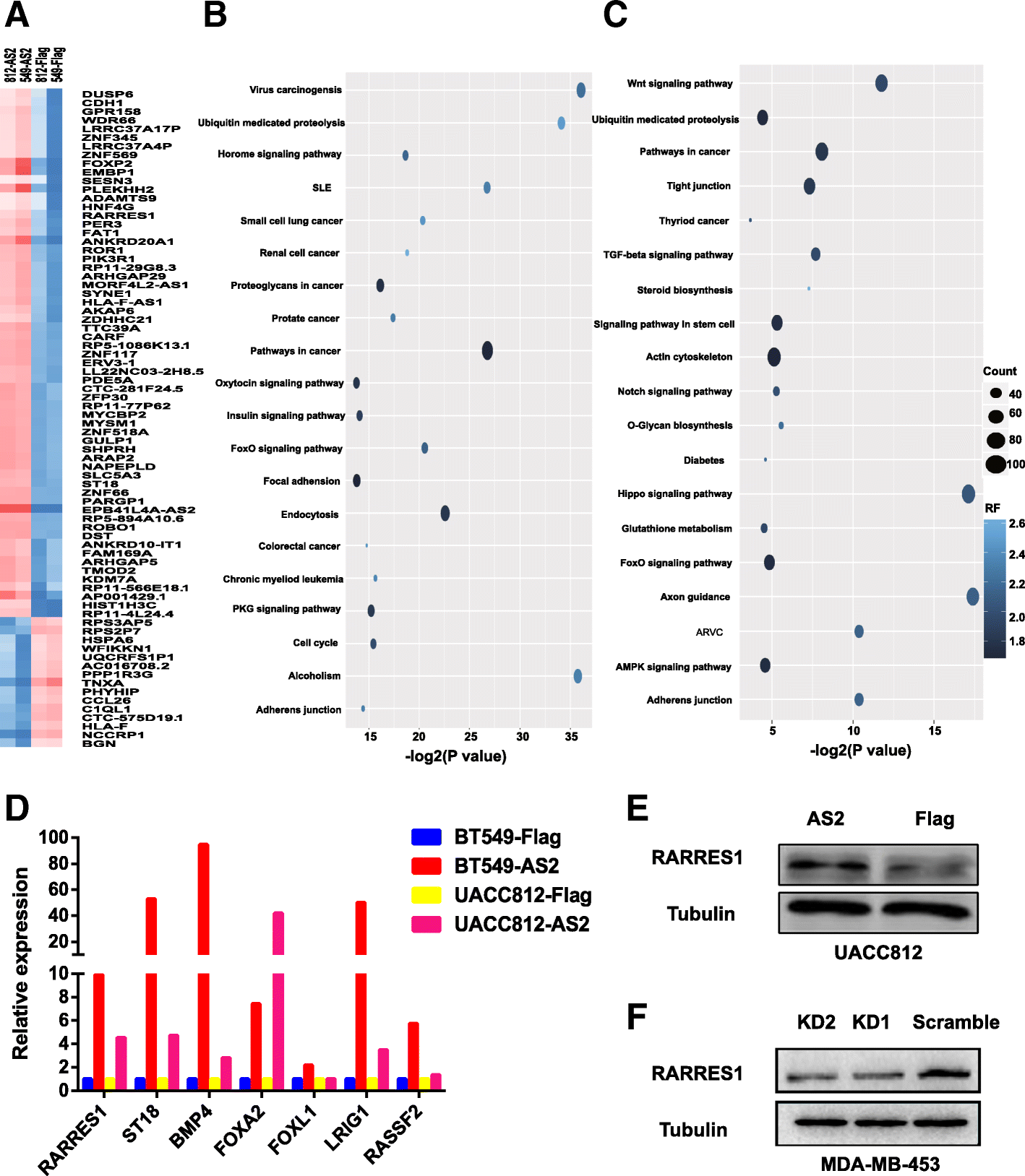 Fig. 10