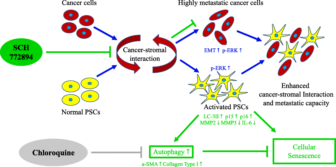 Fig. 8