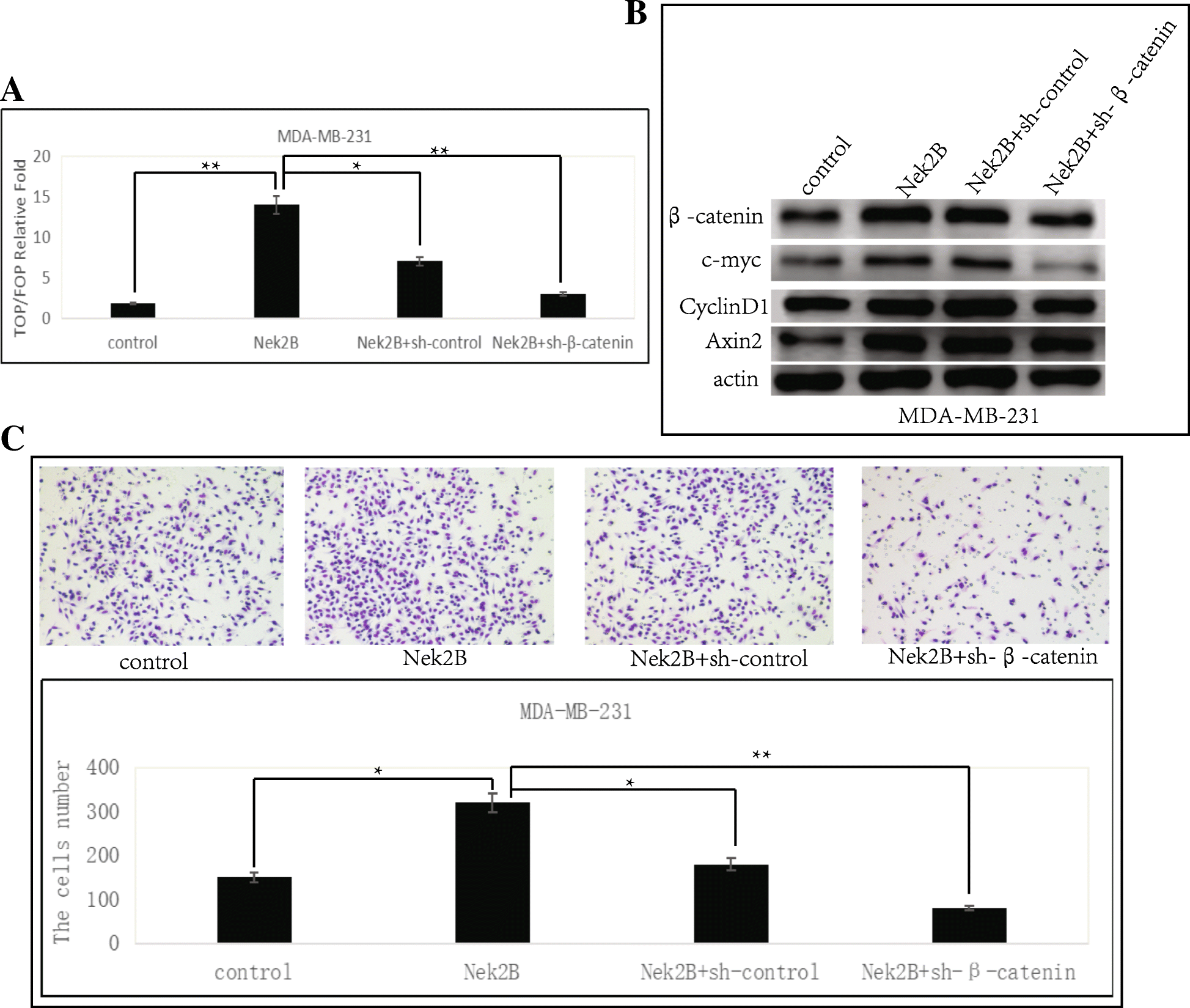 Fig. 12