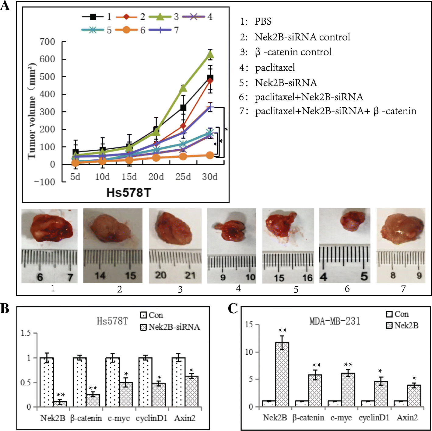 Fig. 13