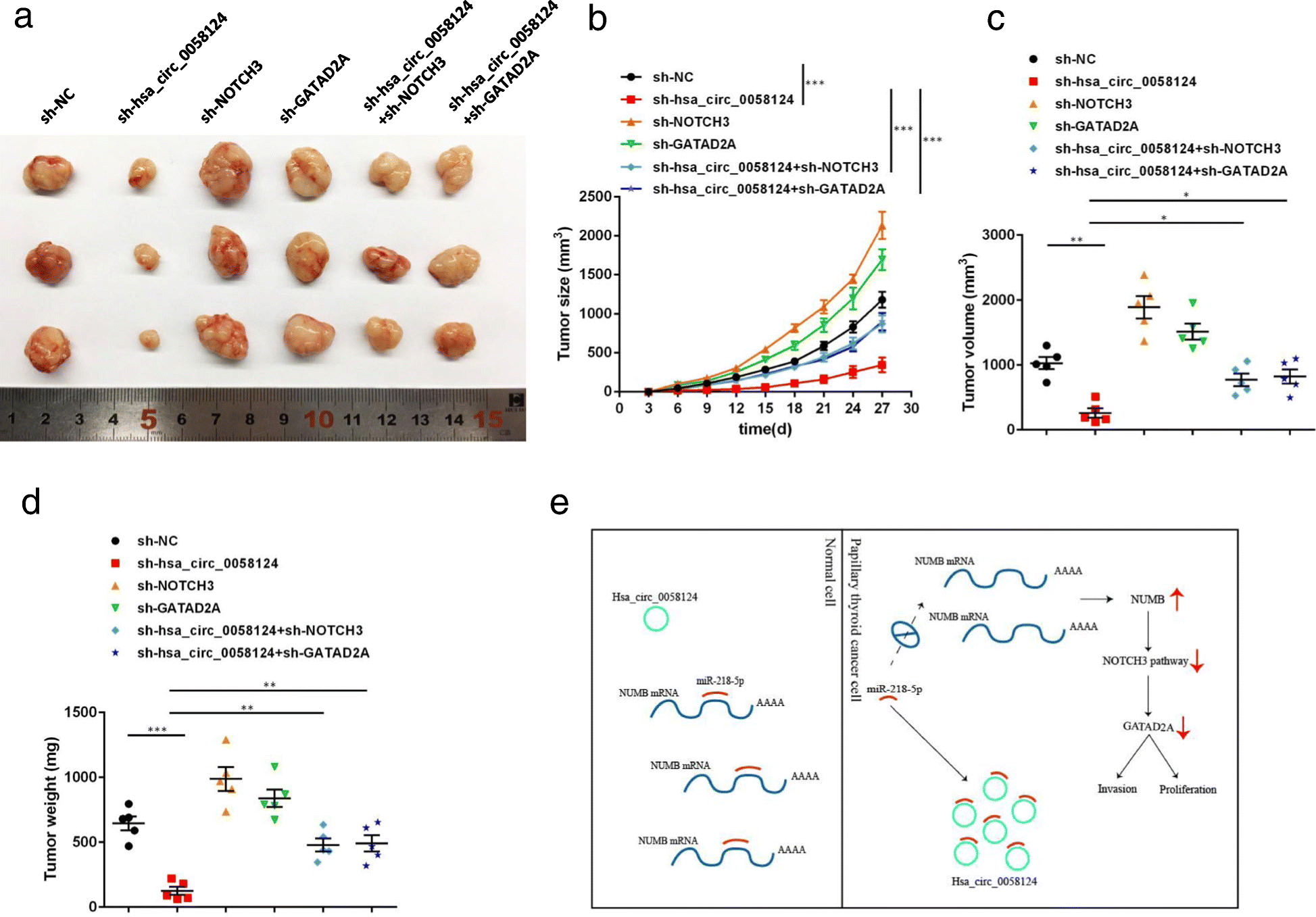 Fig. 10