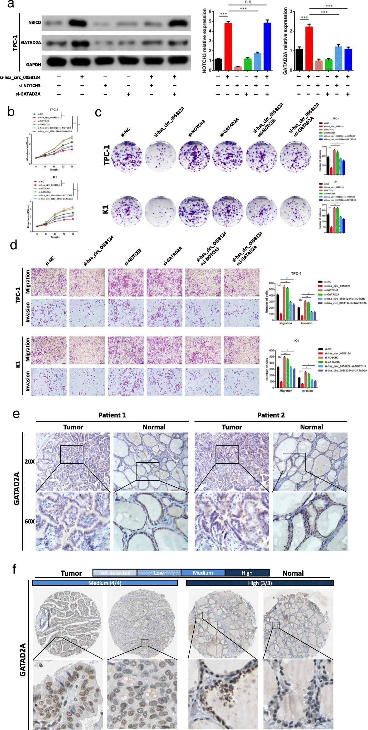 Fig. 9