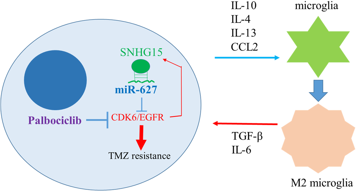 Fig. 8