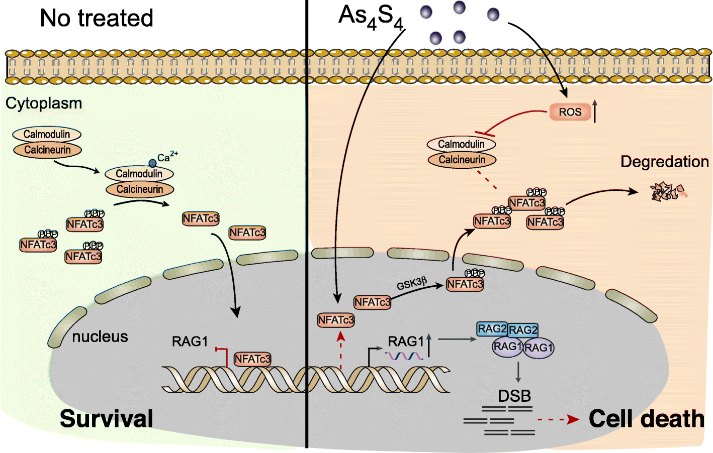 Fig. 8