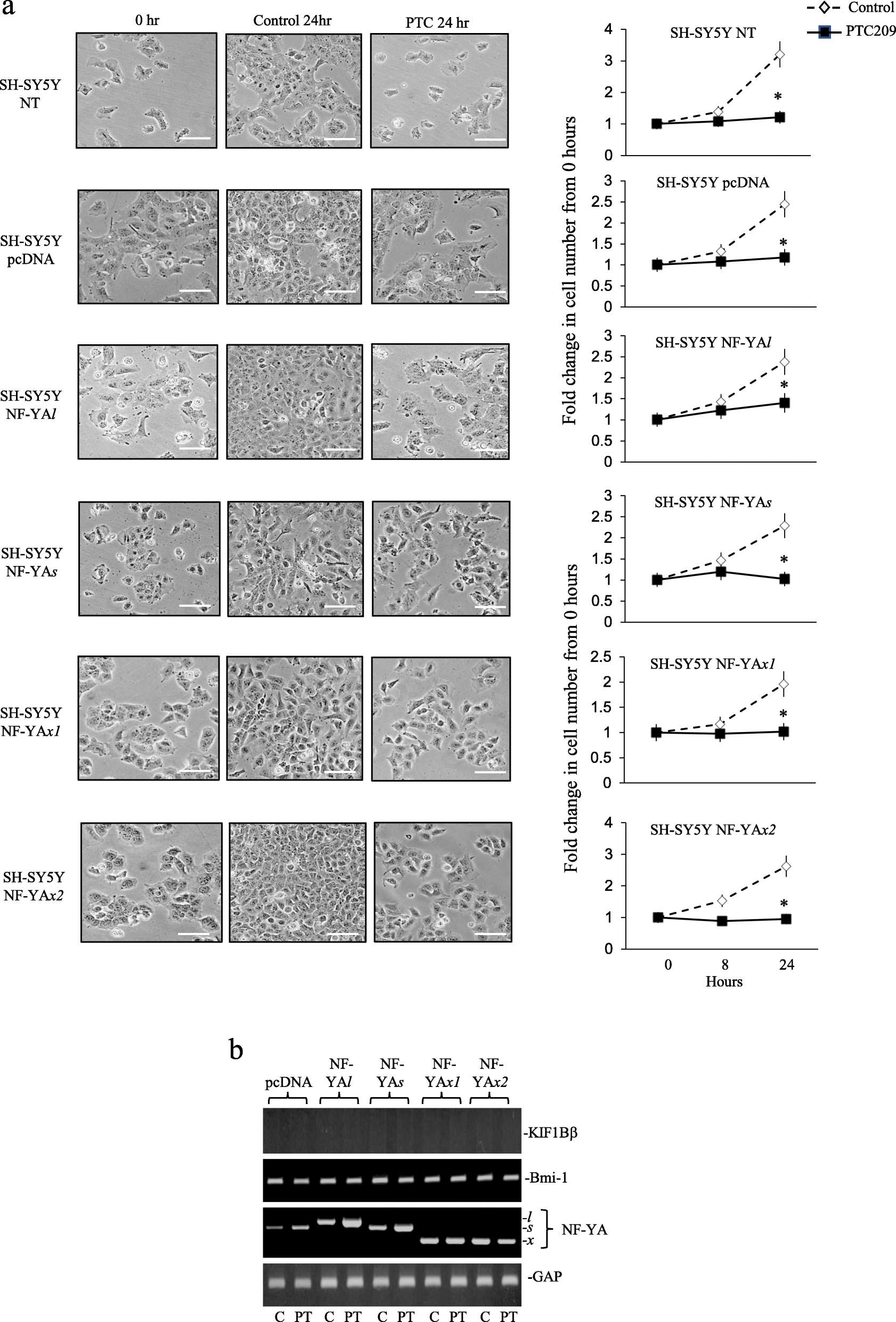 Fig. 9