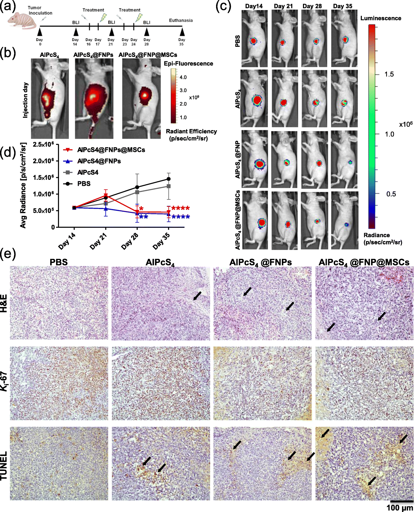 Fig. 5