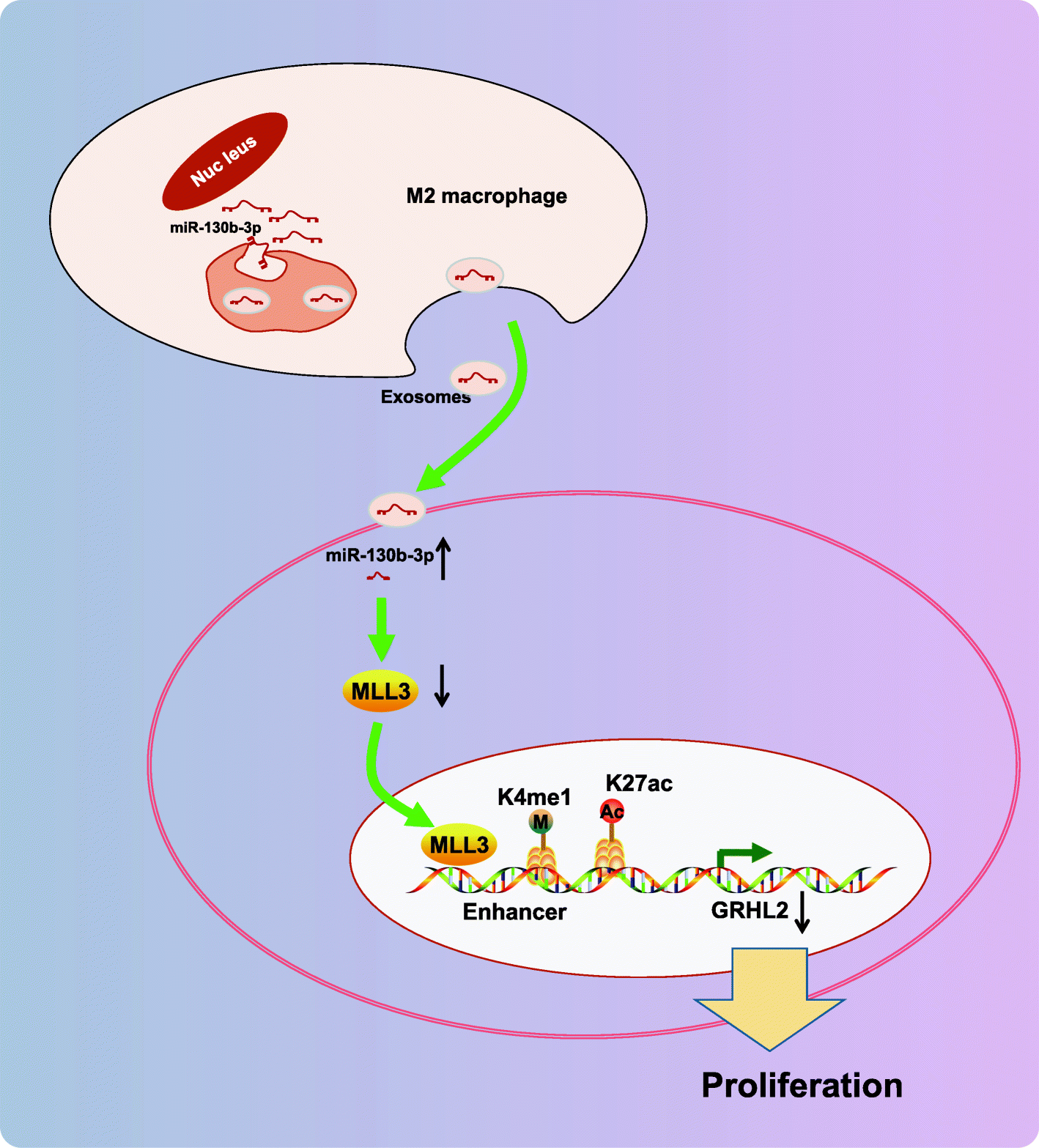 Fig. 9