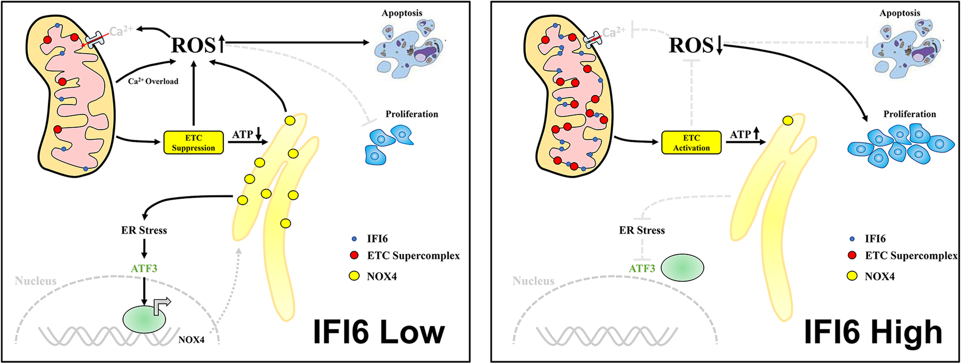 Fig. 11