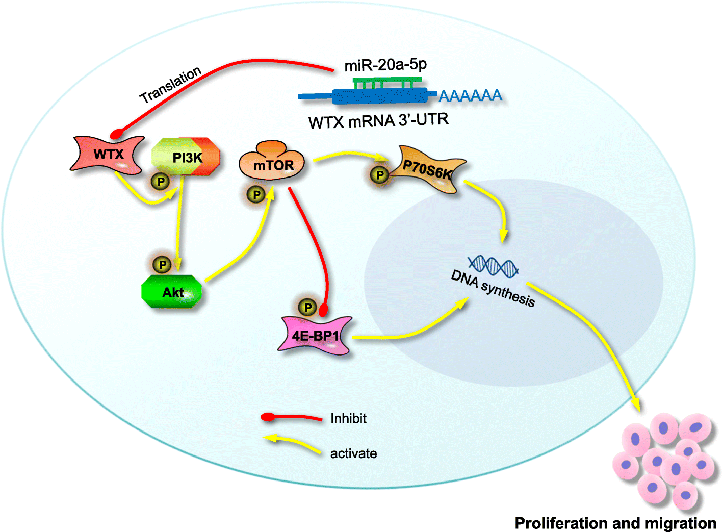 Fig. 7