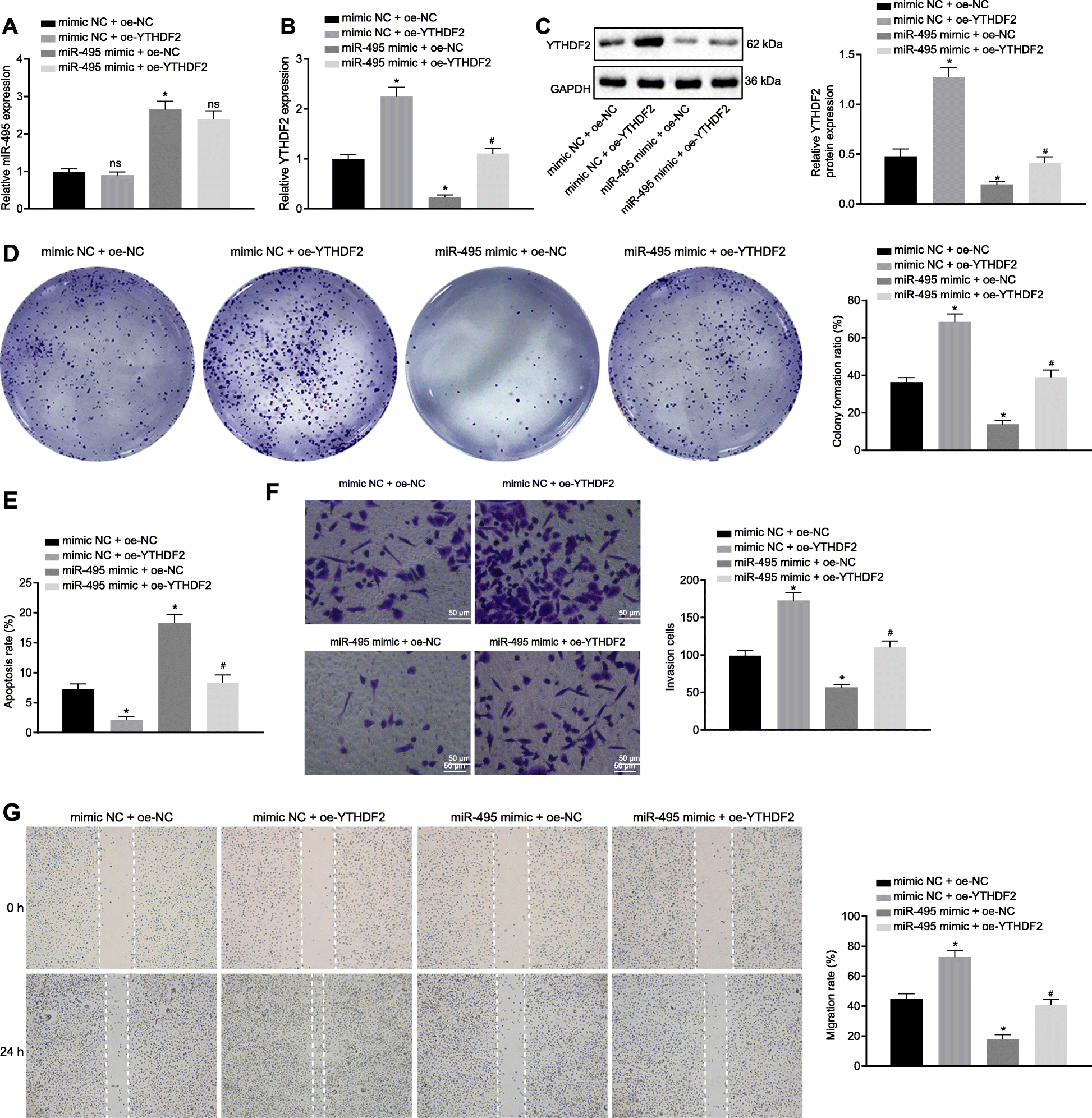 Fig. 5