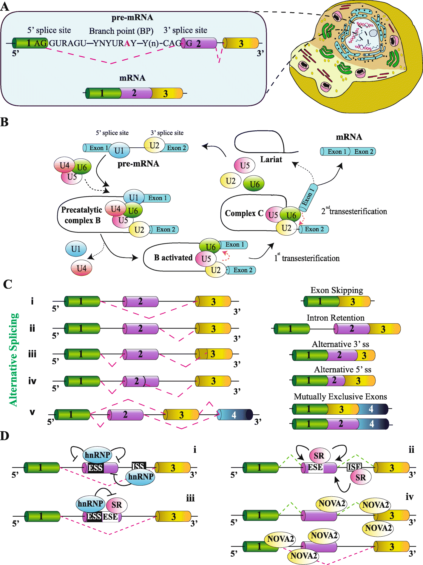 Fig. 1