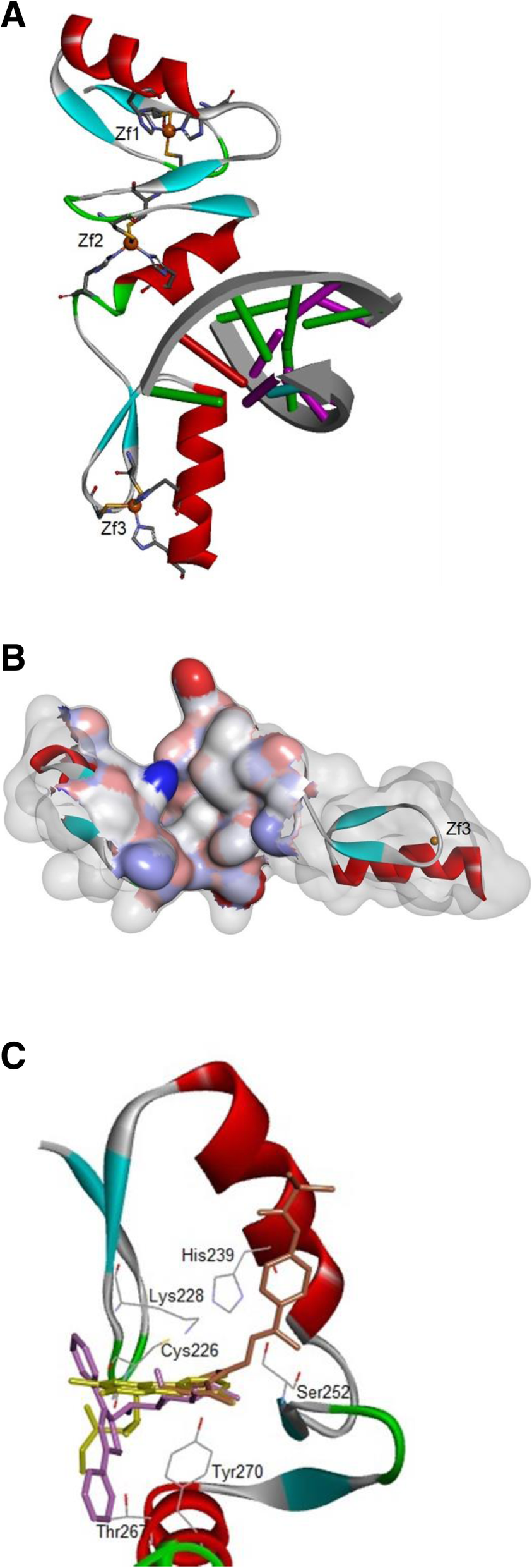 Fig. 6