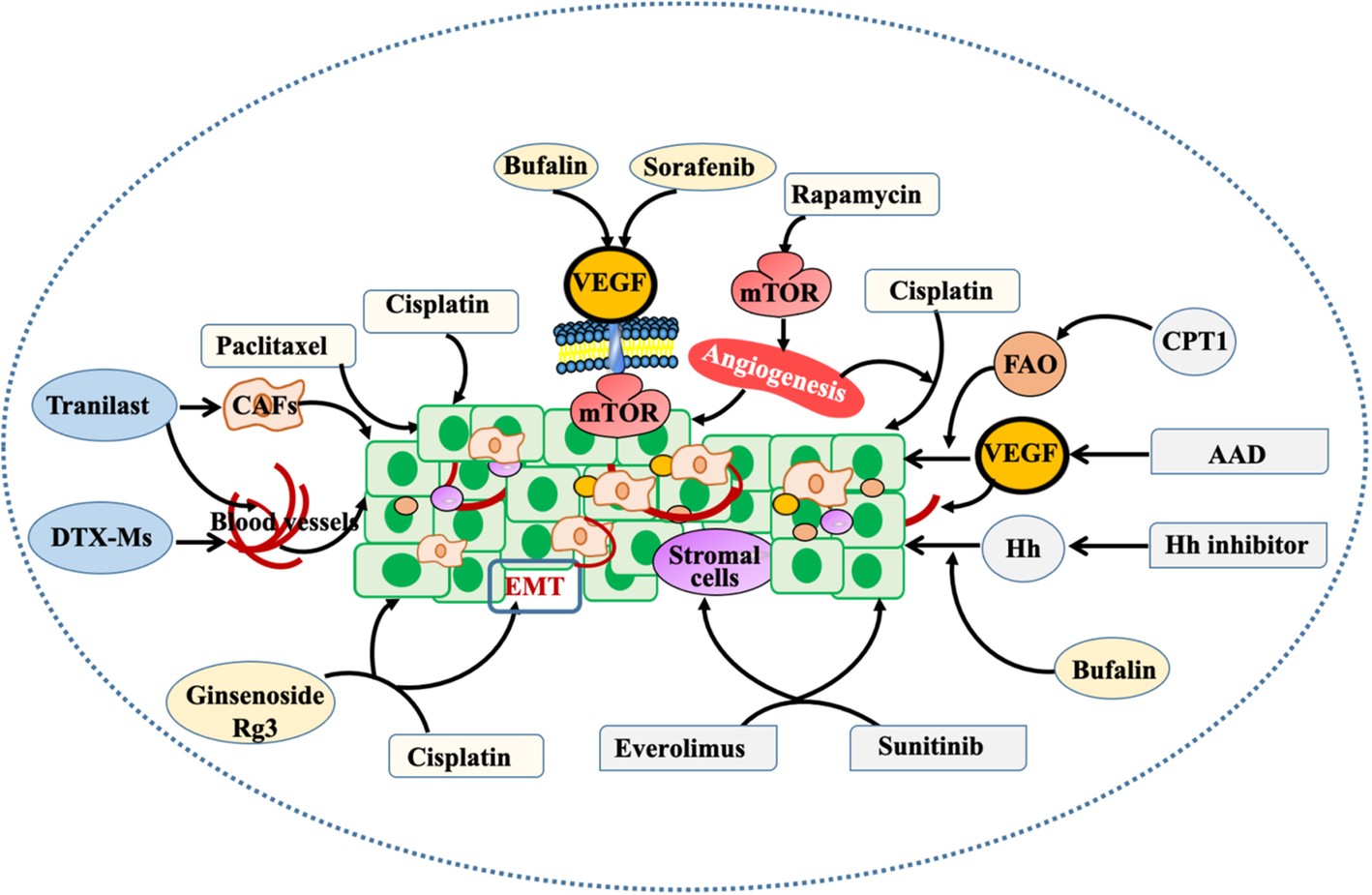 Fig. 7