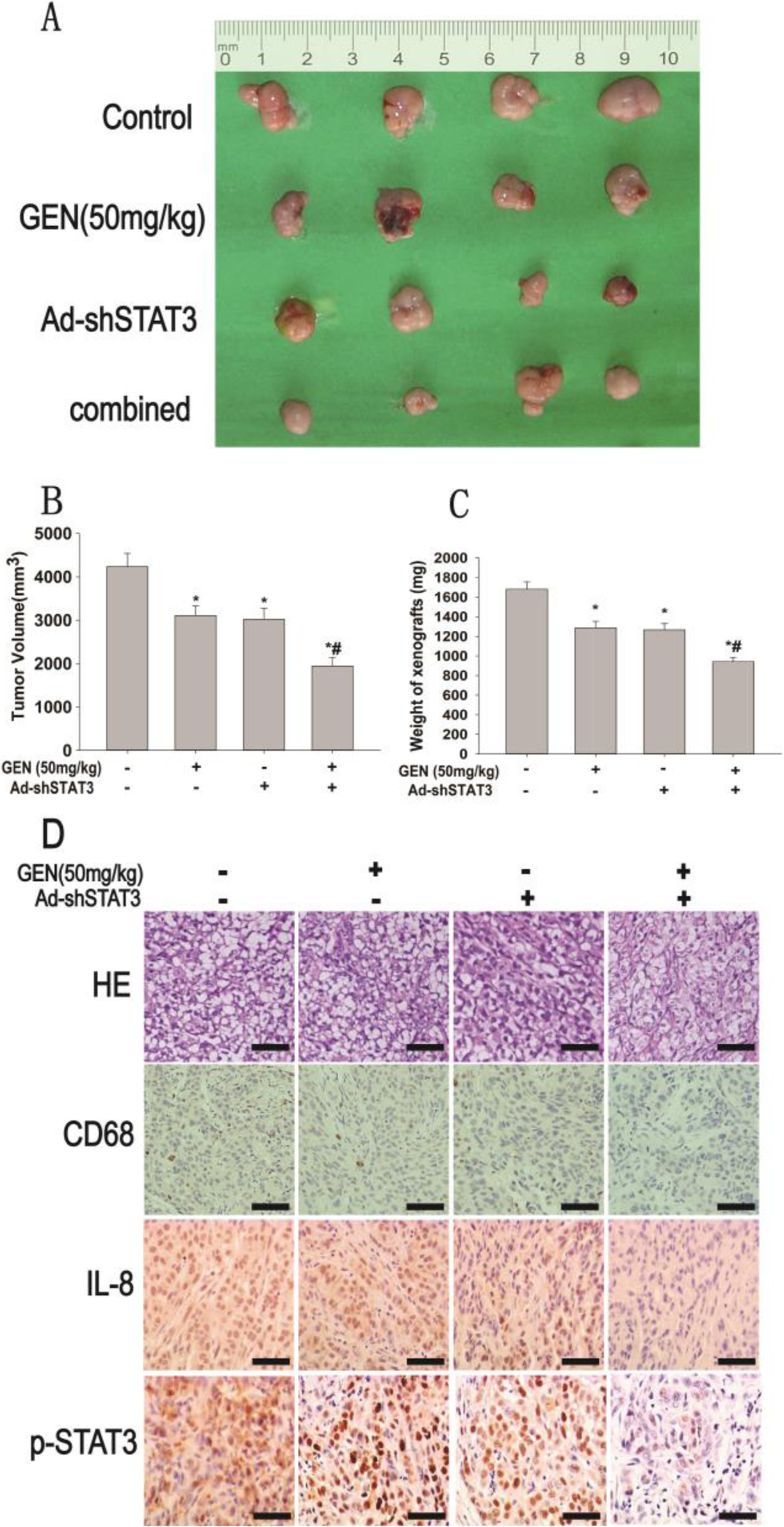 Fig. 9