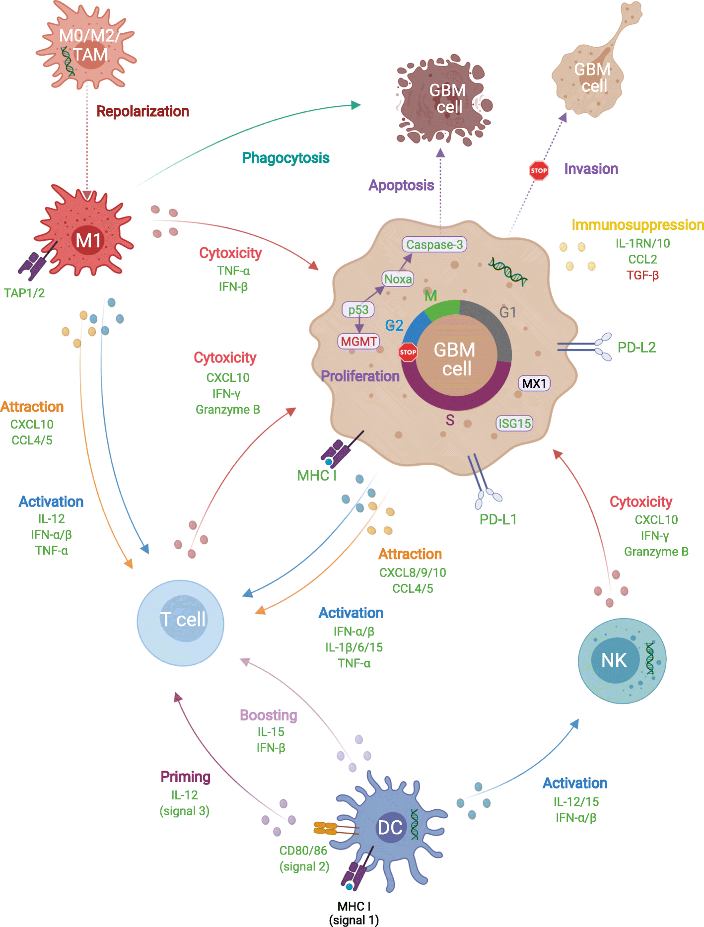 Fig. 2