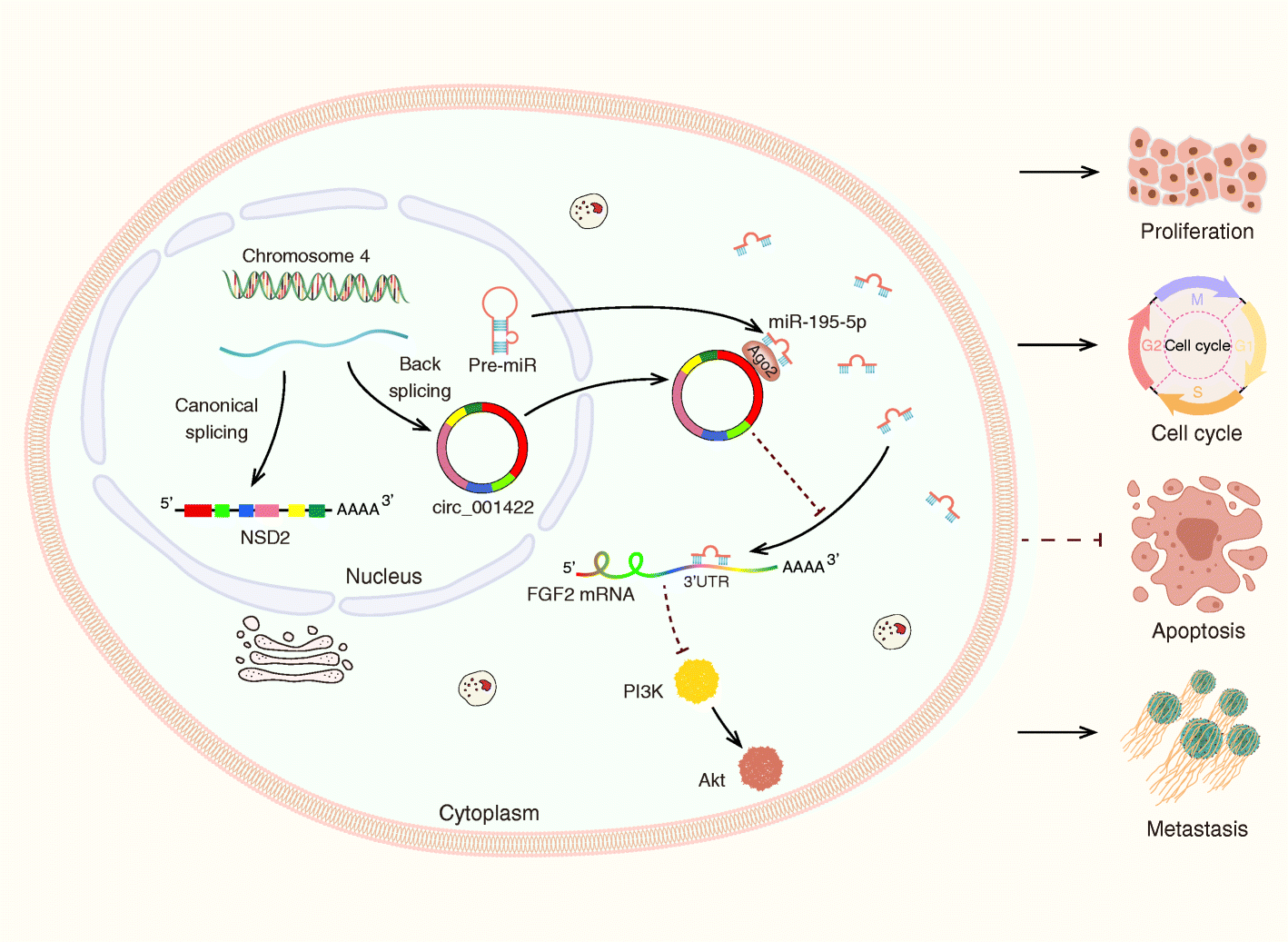 Fig. 10