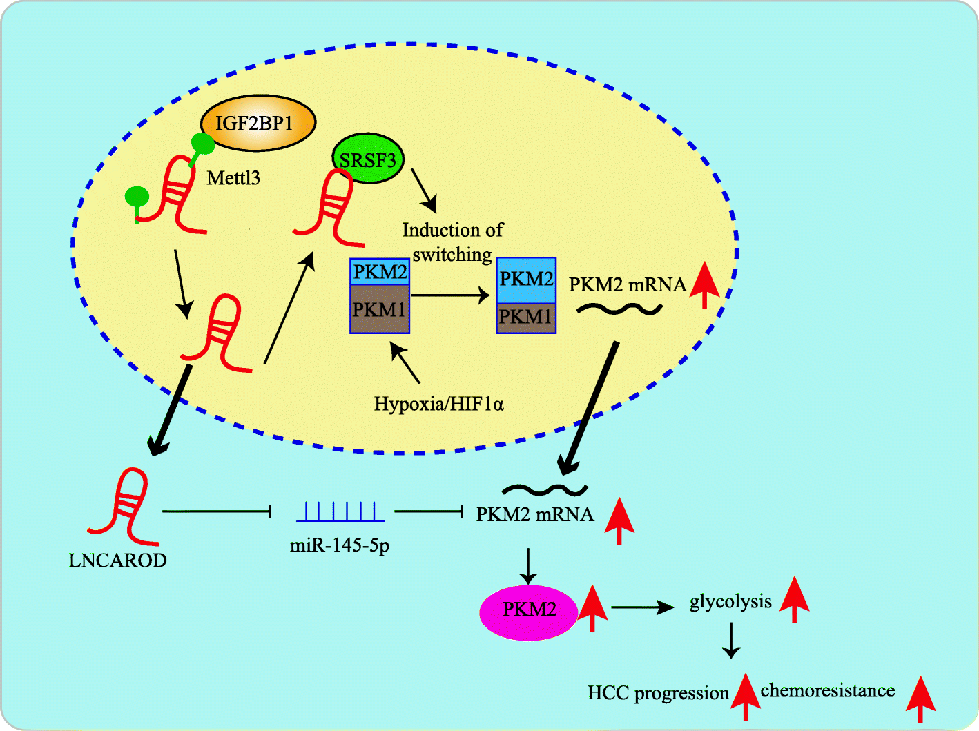 Fig. 8