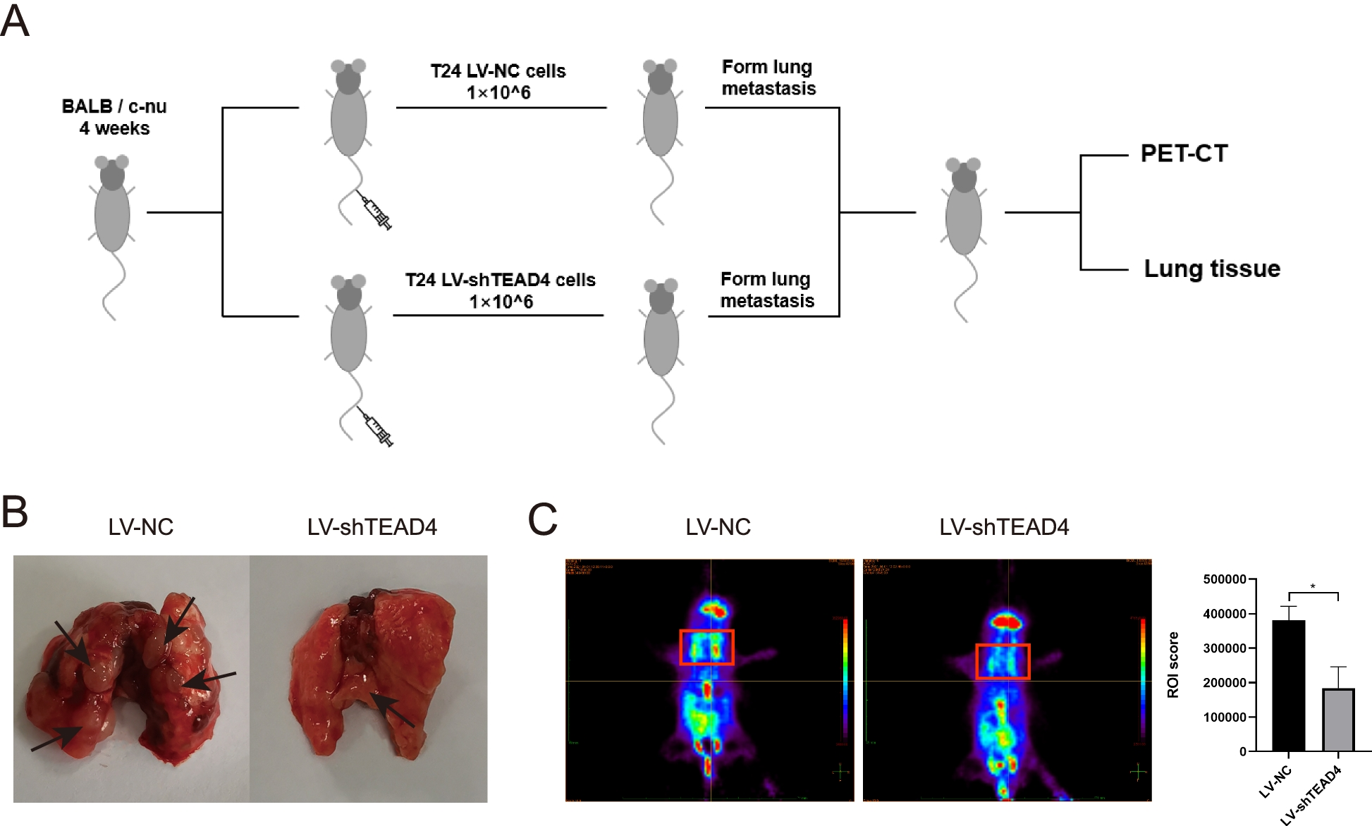 Fig. 9