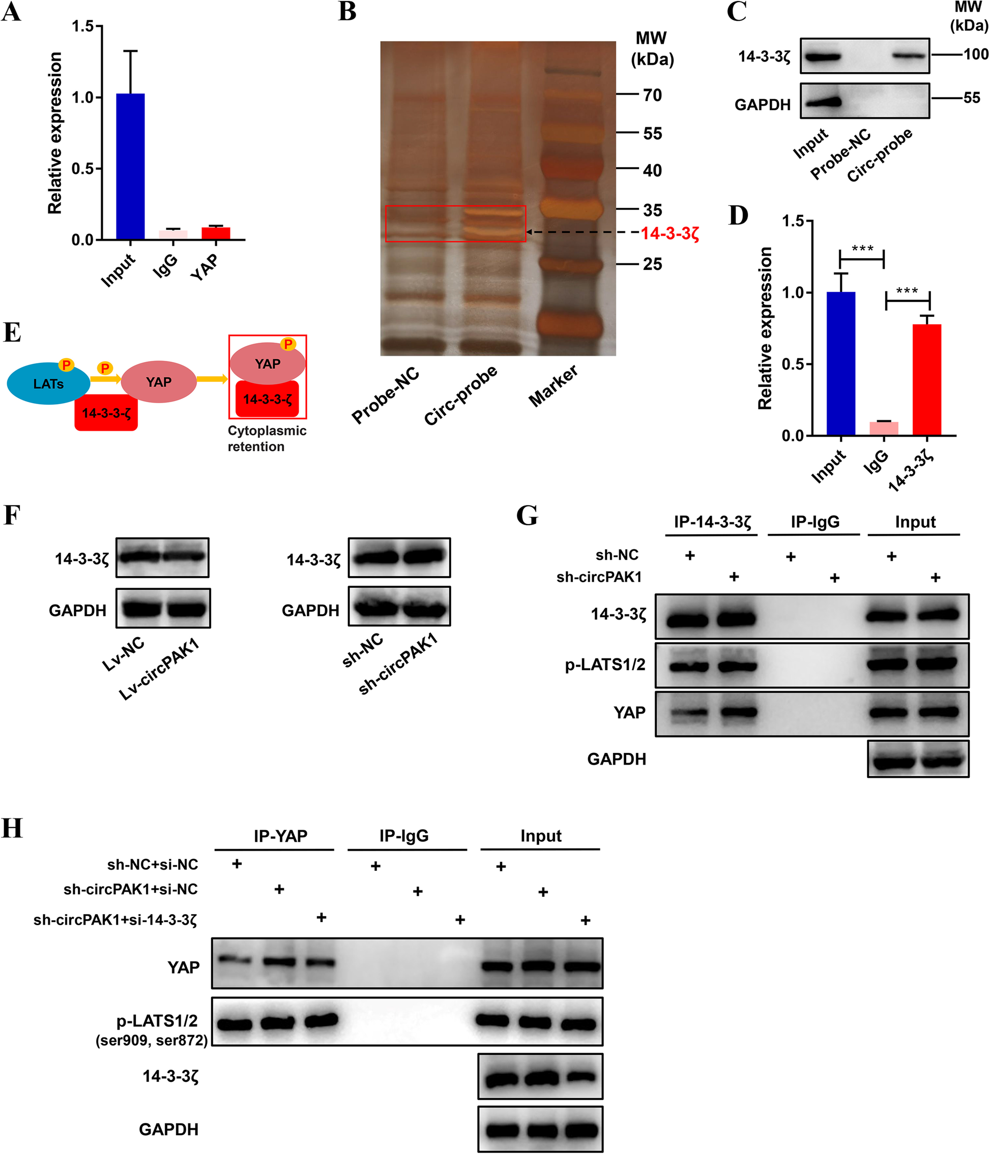 Fig. 7