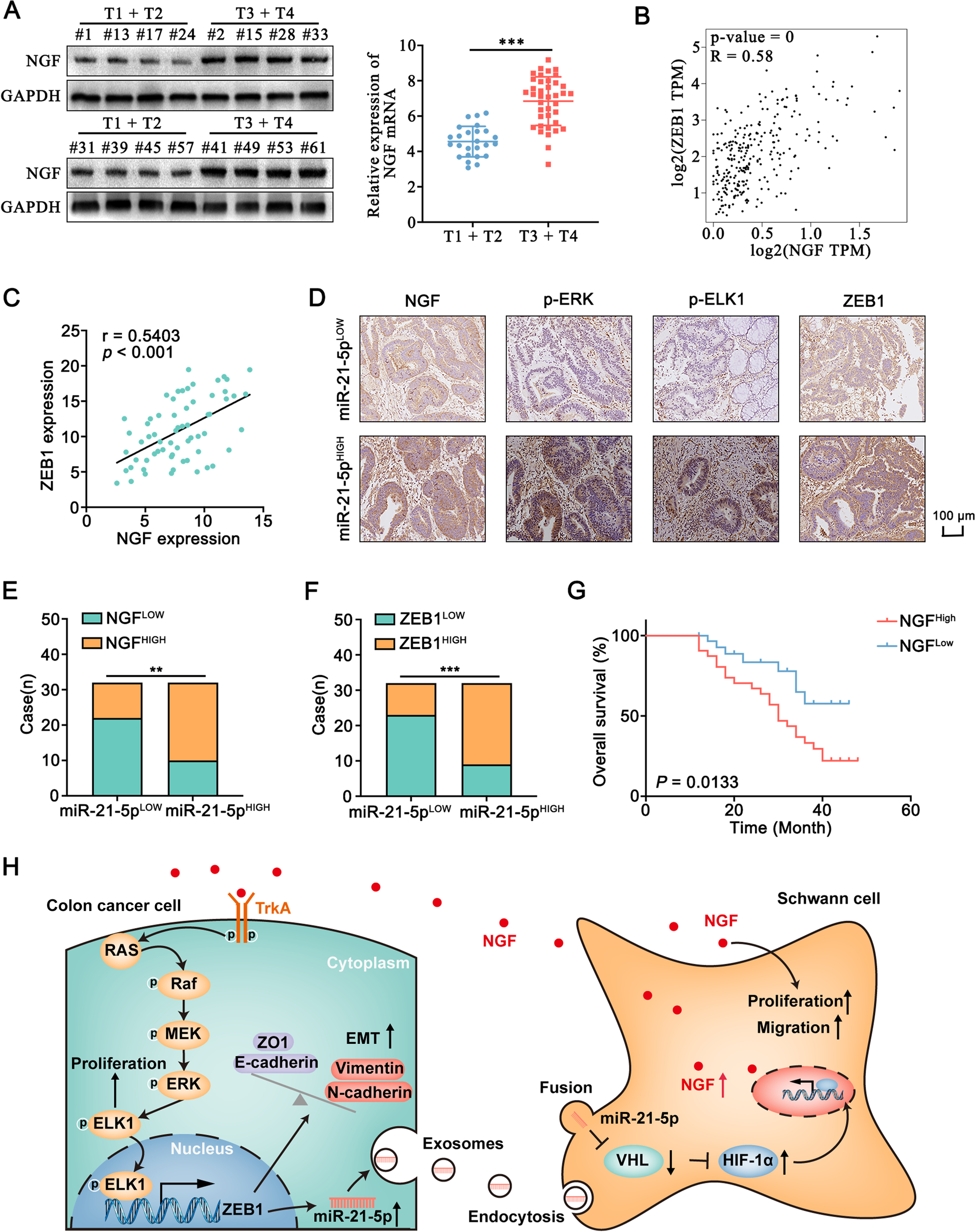 Fig. 11