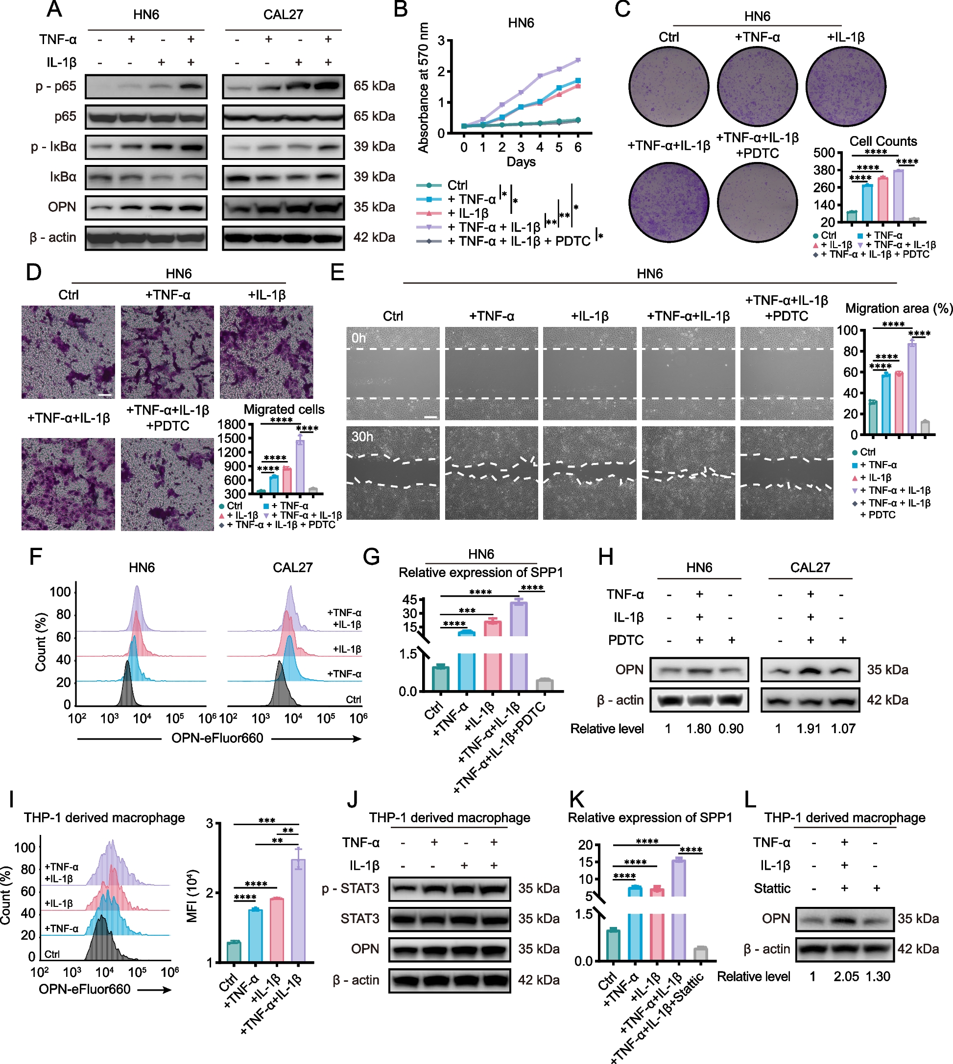 Fig. 6