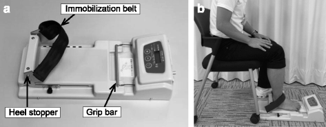 Fig. 1