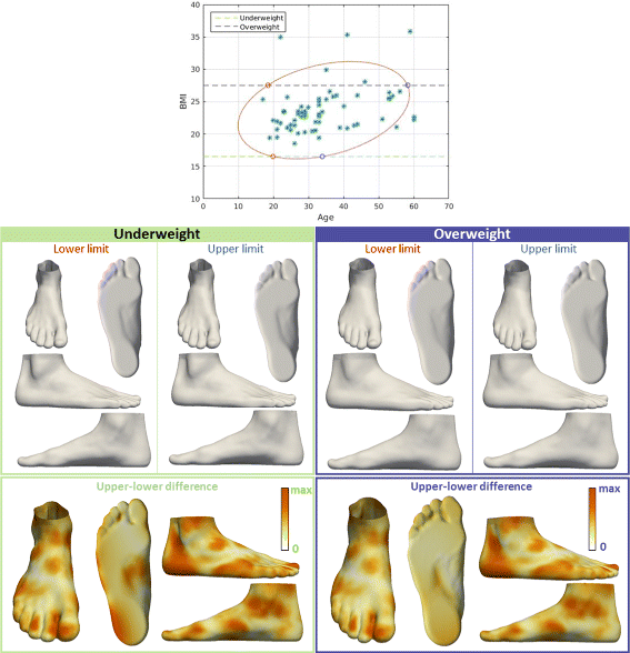Three Dimensional Quantitative Analysis Of Healthy Foot Shape A Proof Of Concept Study Journal Of Foot And Ankle Research Full Text