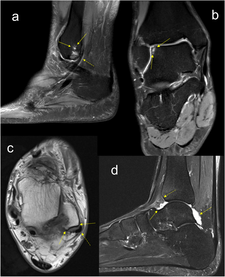 Fig. 5