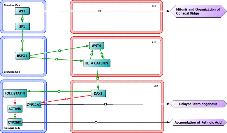 Fig. 5