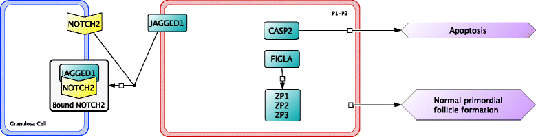 Fig. 8