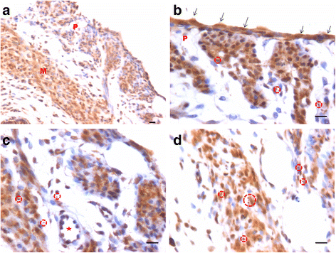 Fig. 10