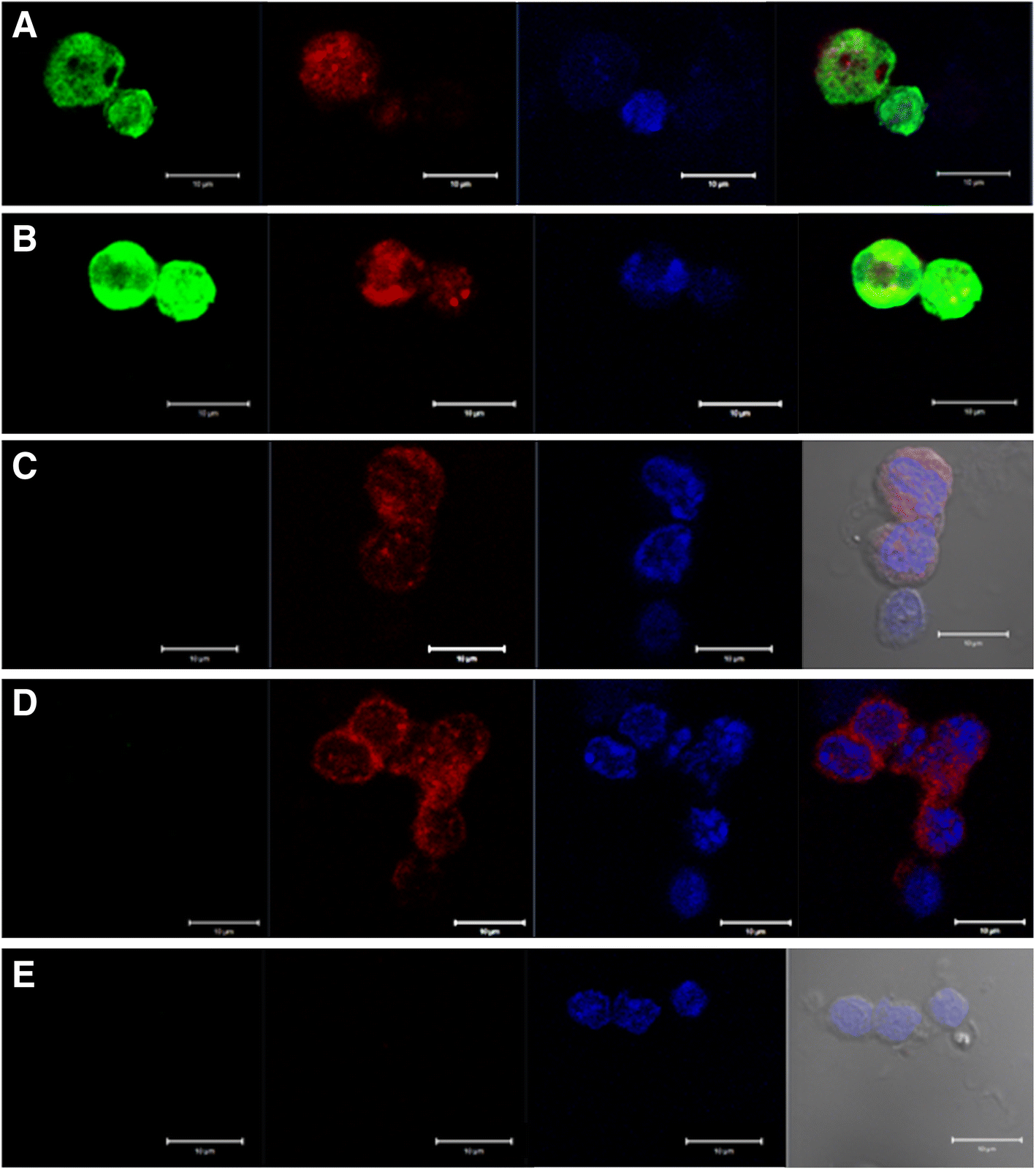 Fig. 13