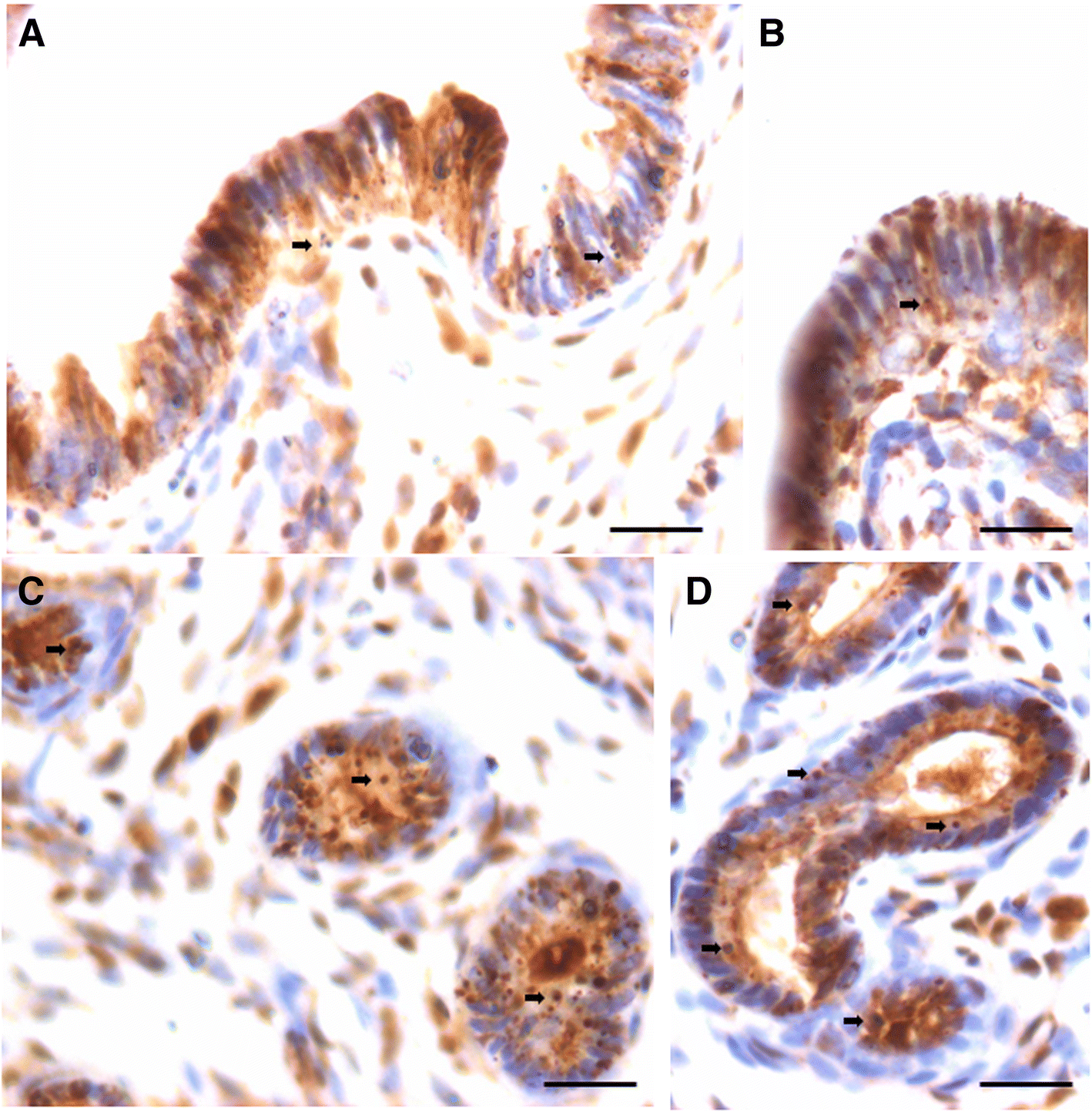 Fig. 9