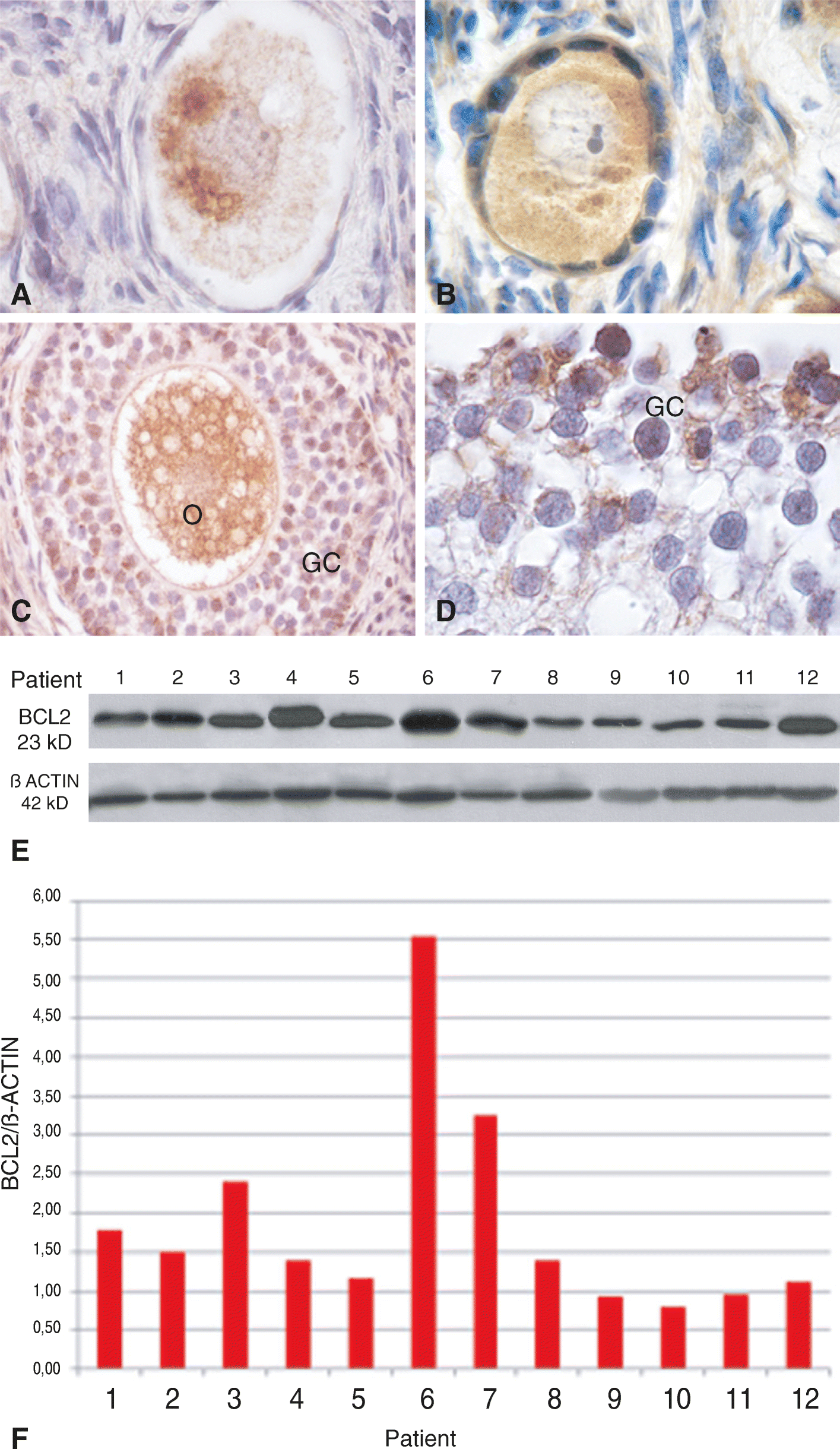 Fig. 5