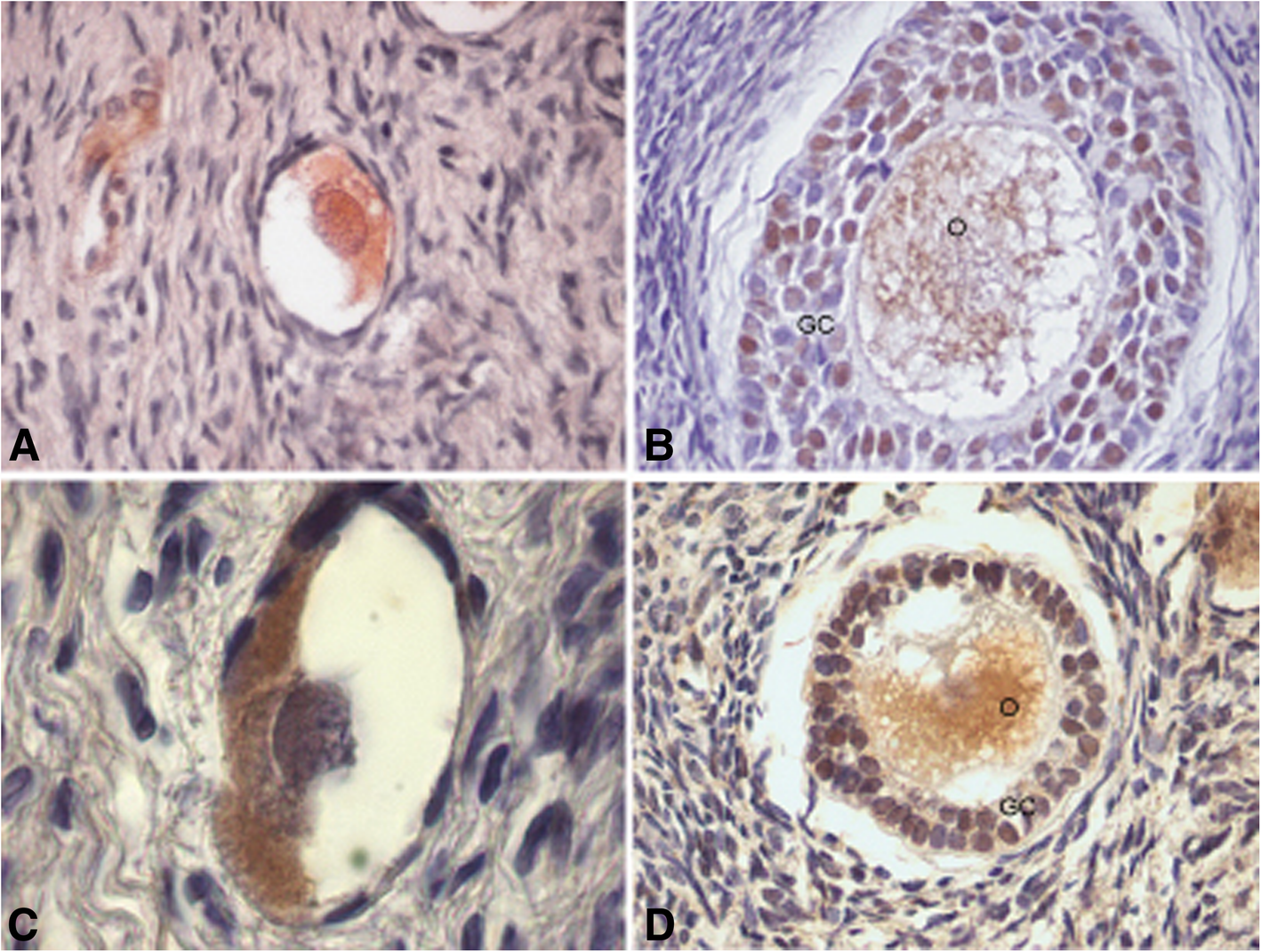 Fig. 8