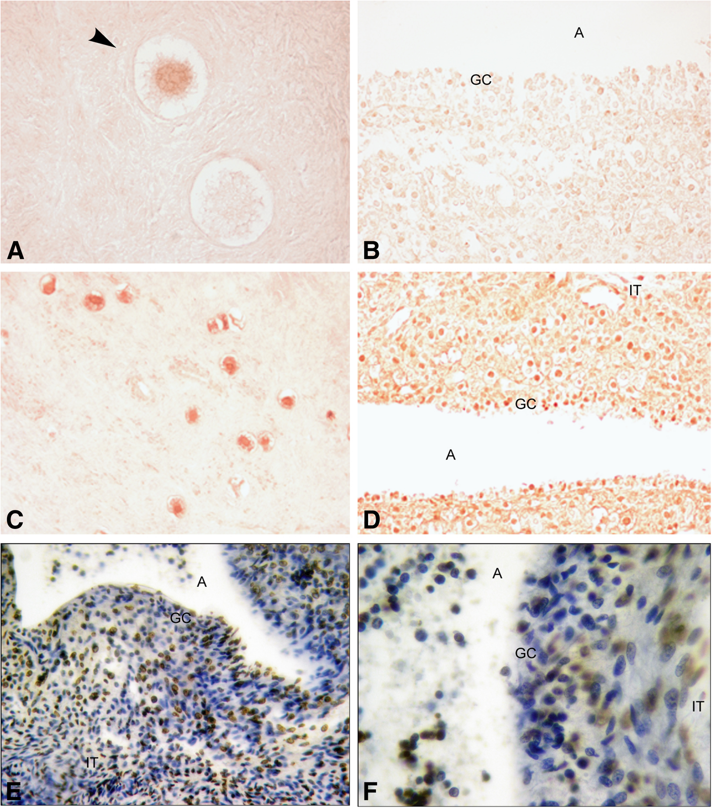 Fig. 9