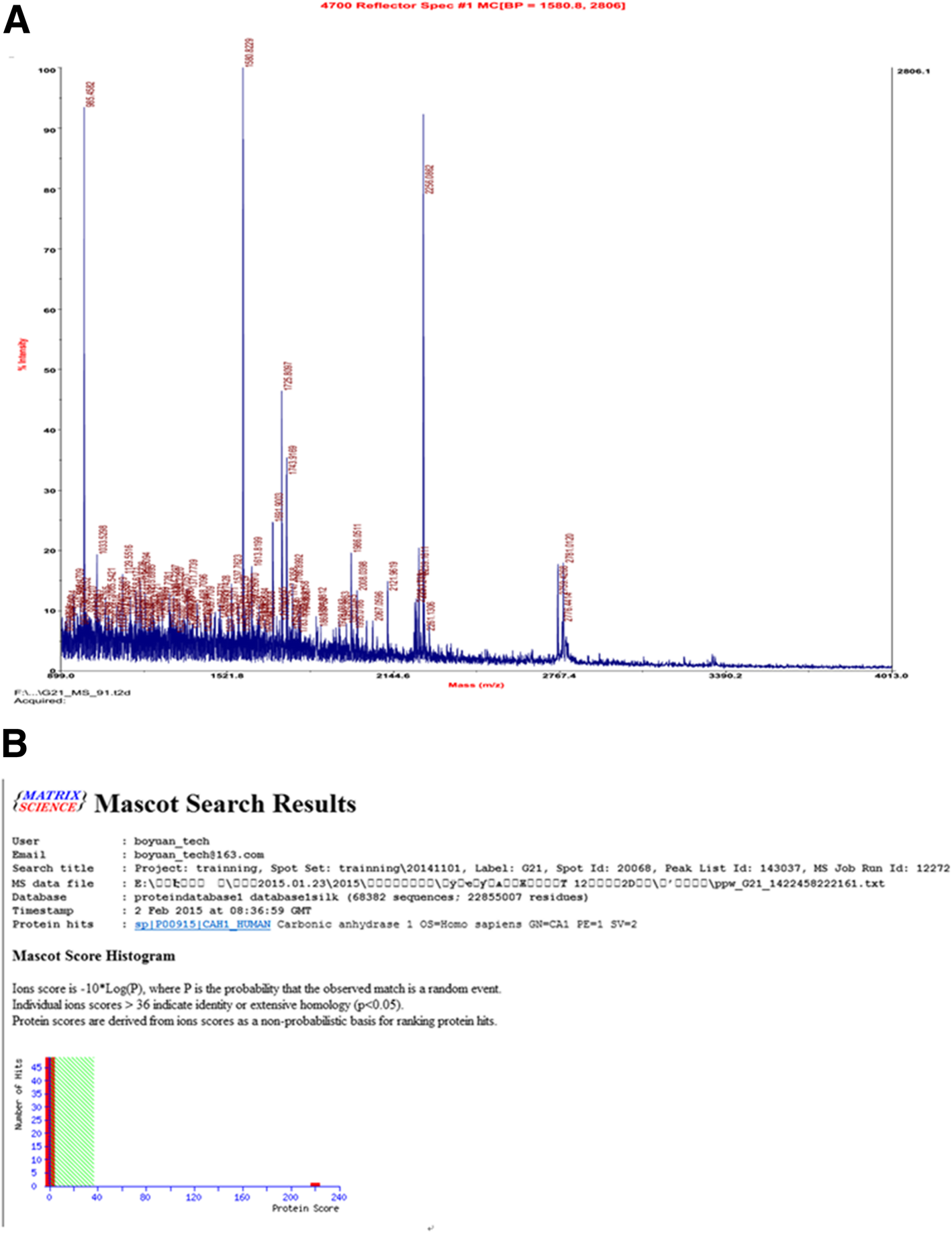 Fig. 2