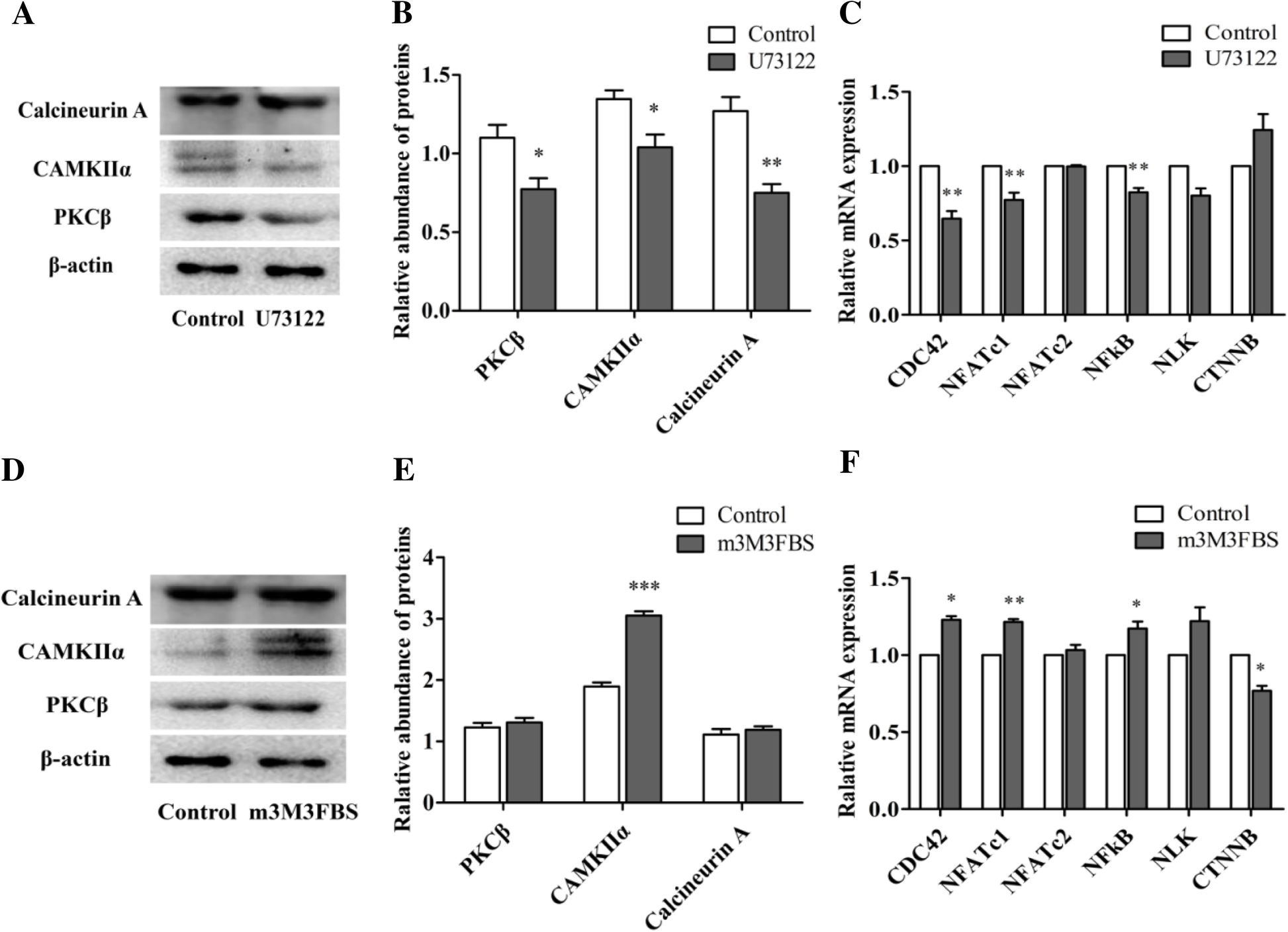 Phospholipase C Inhibits Apoptosis Of Porcine Primary Granulosa Cells Cultured In Vitro Journal Of Ovarian Research Full Text Phospholipase C Inhibits Apoptosis Of Porcine Primary Granulosa Cells Cultured In Vitro Journal Of Ovarian Research Full Text