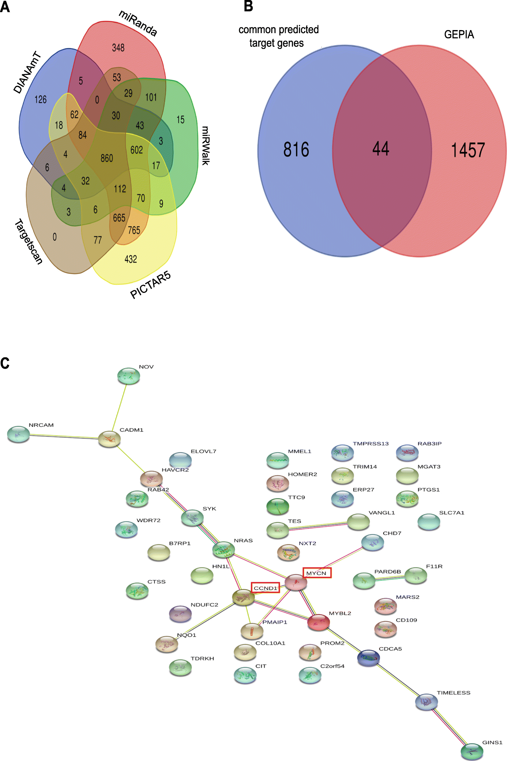 Fig. 10