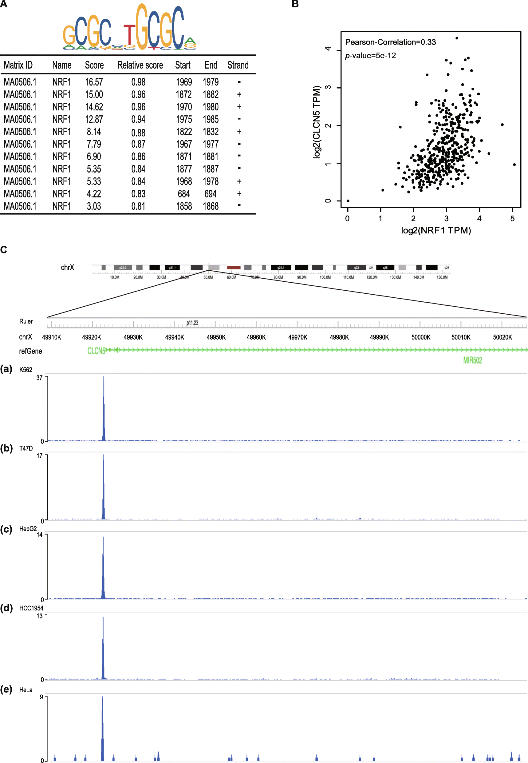 Fig. 5